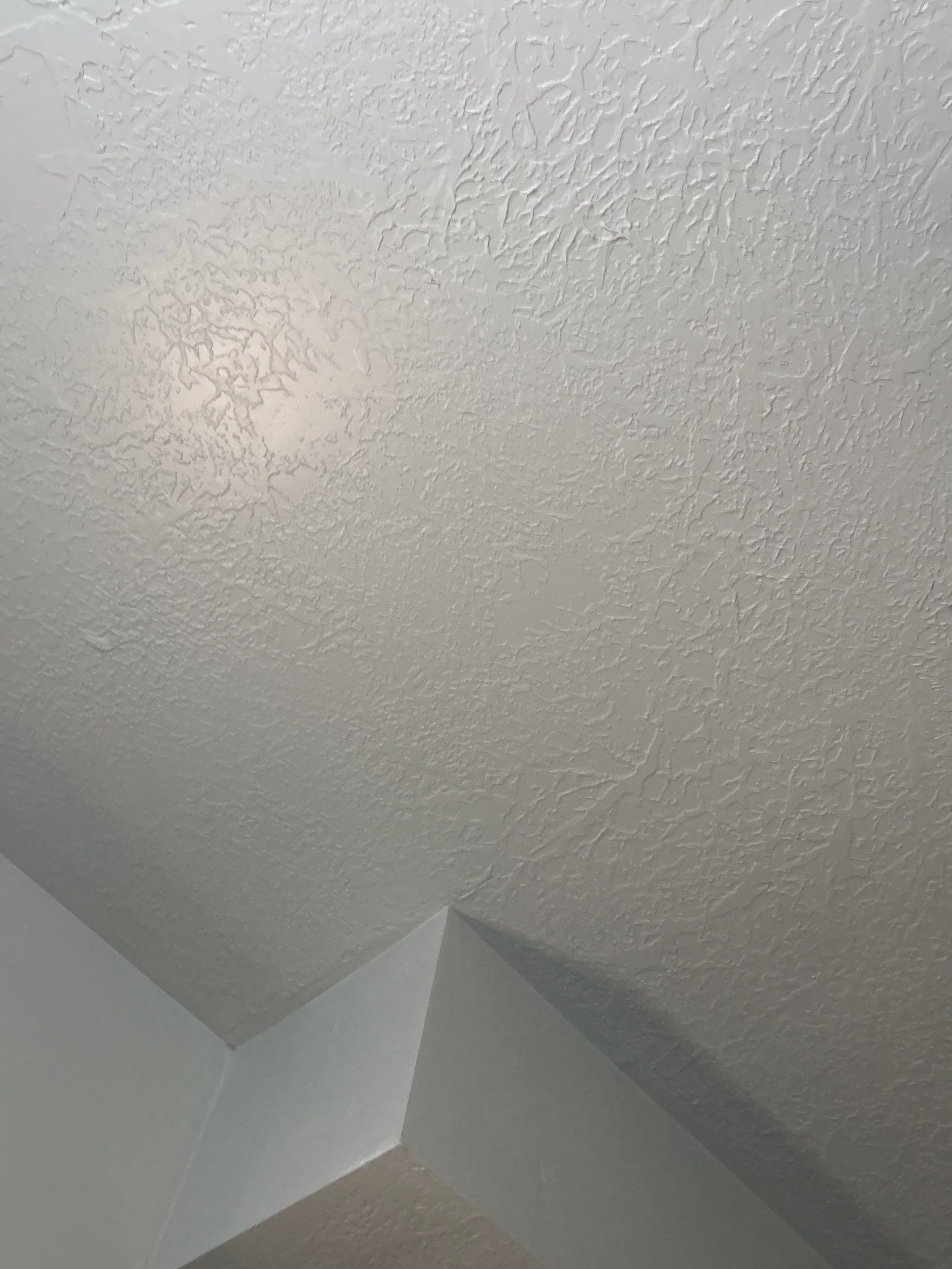 Vista Station Roof Replacement by CompanyCam | Account Management Demo Account