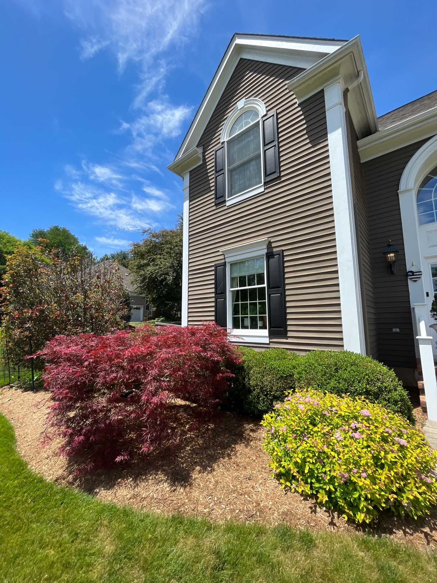 Comprehensive Ornamental Shrub Care in Peapack by Ants Plants