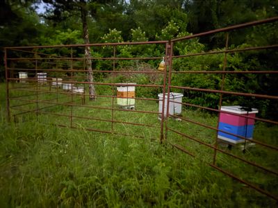 Rockwall County Ag. Exemption