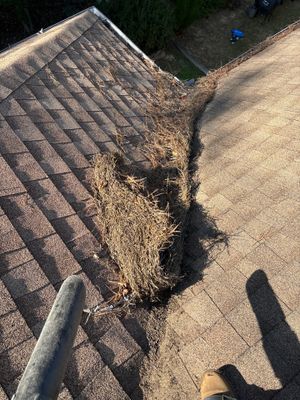 Clean Gutters 