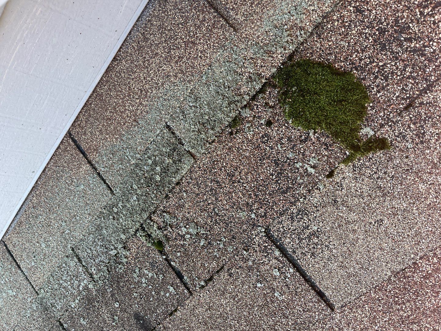 Full Exterior Home Transformation – Metal Slate Roof in Fort Wayne, IN by 4Ever Metal Roofing