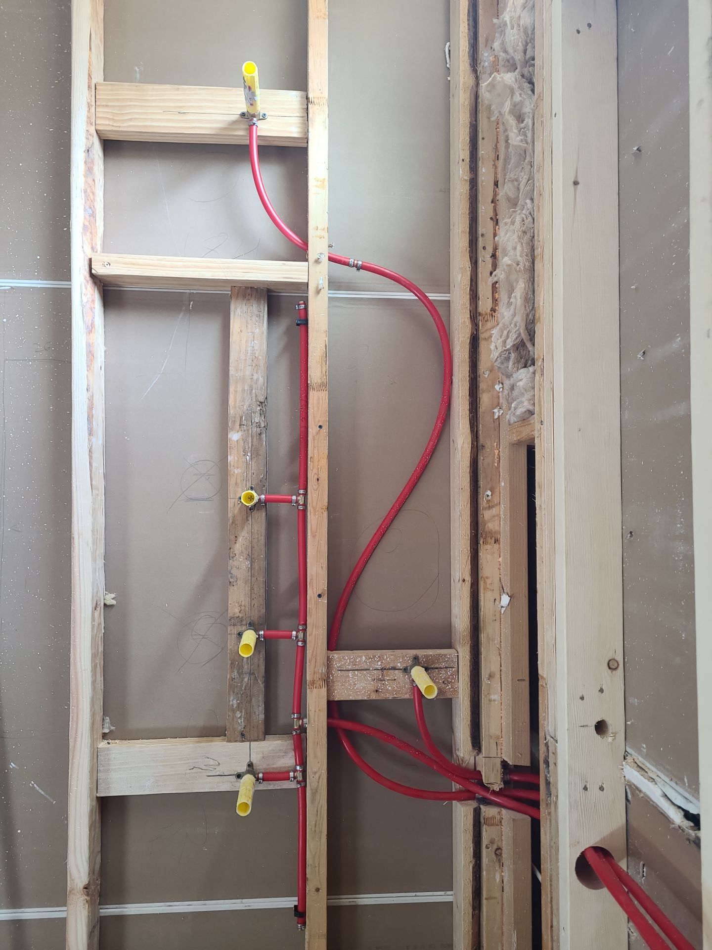 The DeSaro Family by SophAlx LLC