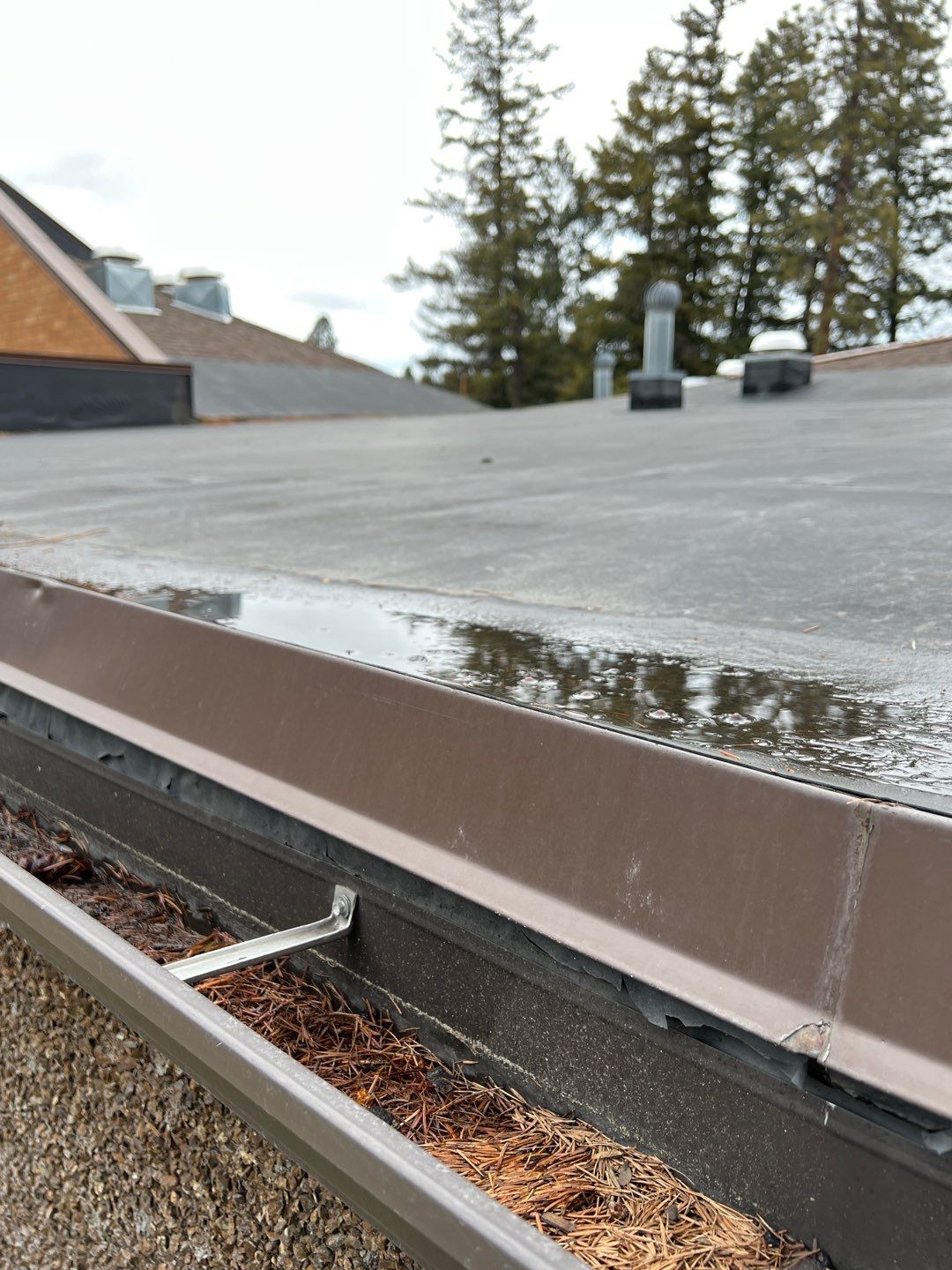 GAF Timberline HDZ - Charcoal by Montana Roofing Solutions