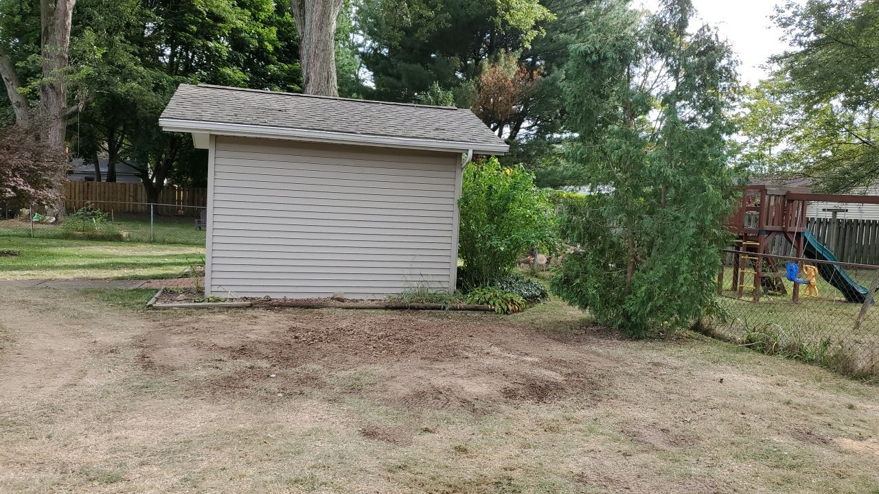 Oak Tree Removal by Mike Jones & Sons Tree Service LLC 