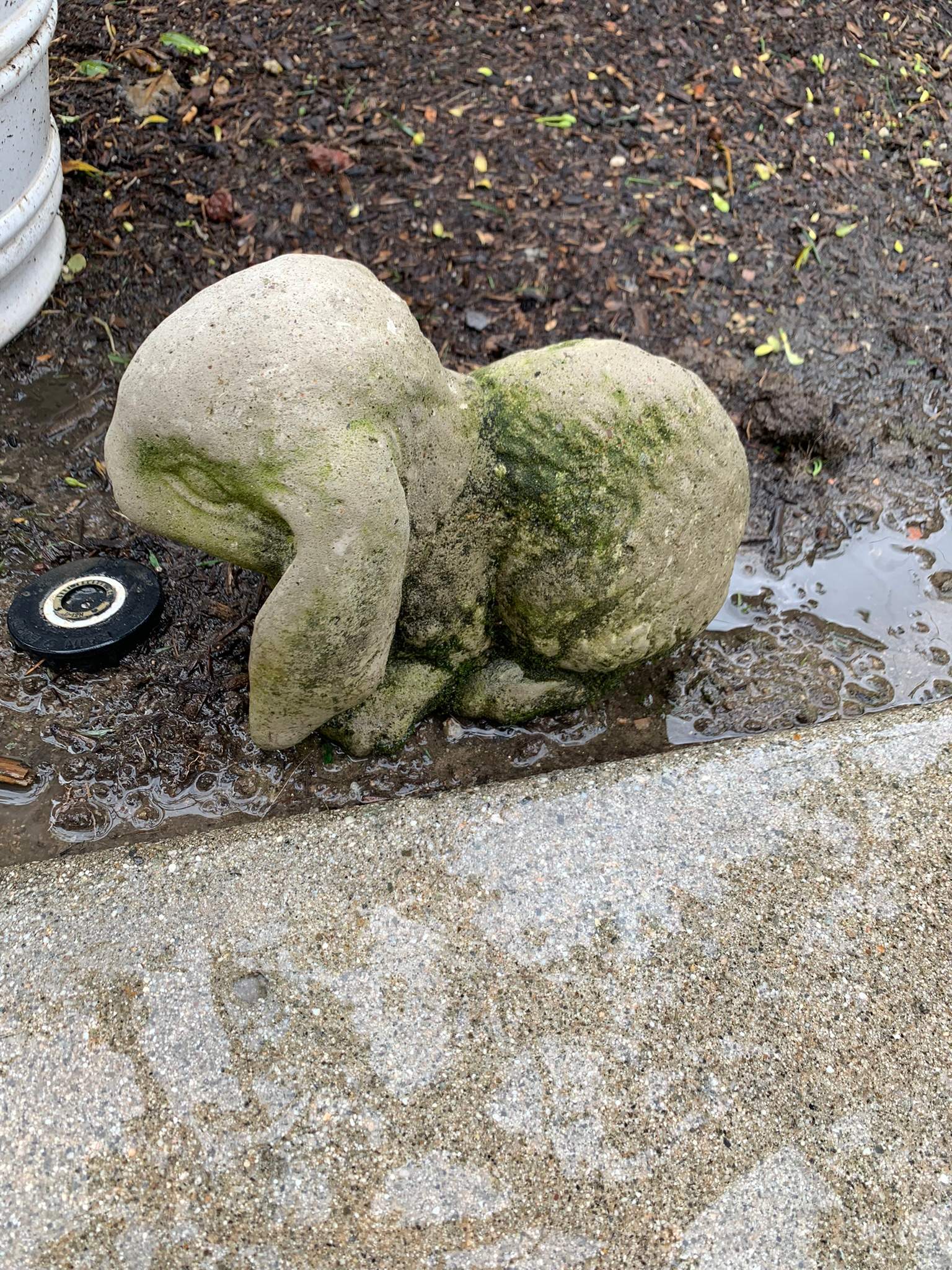 Pressure Wash using Sodium Hypochlorite and Solar Panel Cleaning in Huntington Beach by Property Cleaning Experts