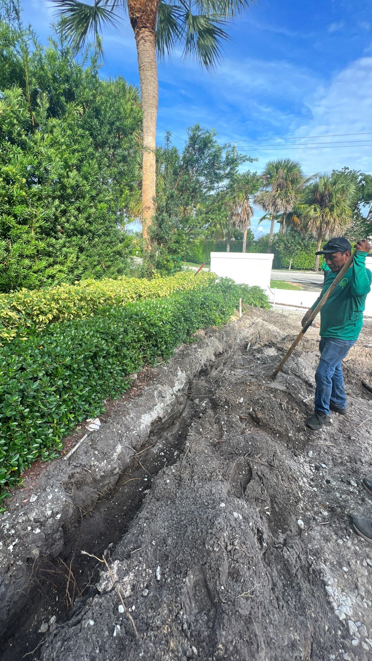 Hazard  by The Landscaping People