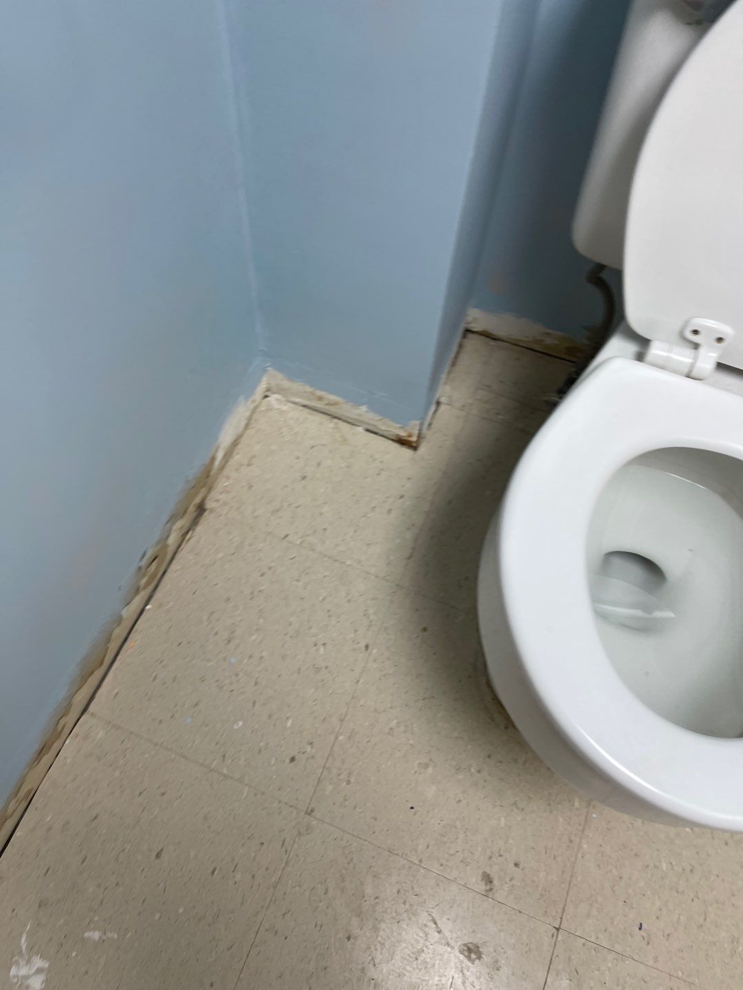 Cat Hospital Project in Pittsburgh by Floors in a Day, Inc