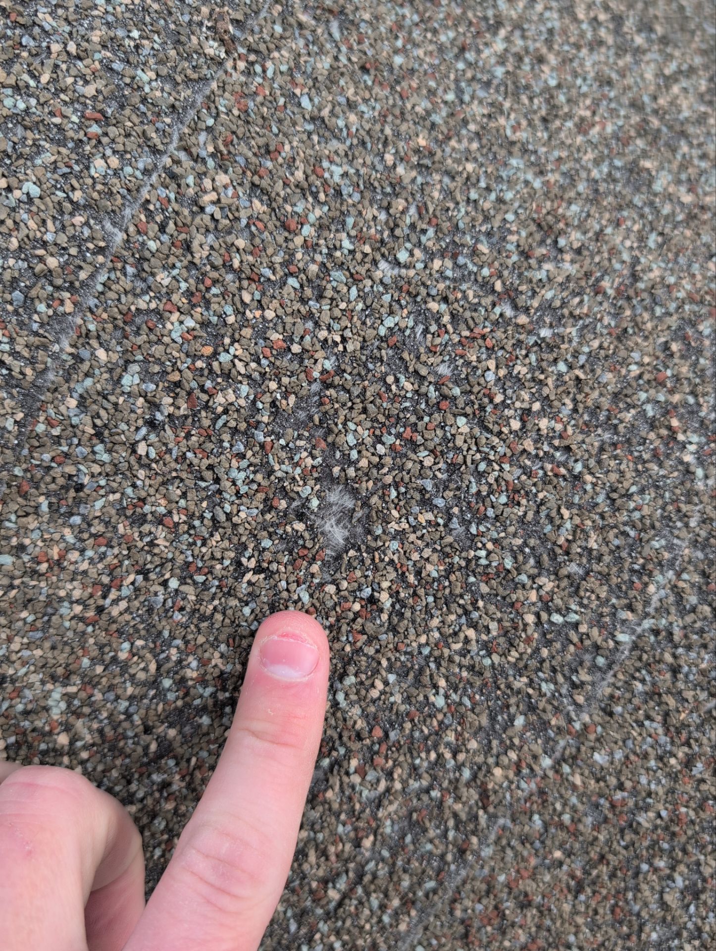 Roof Replacement & Seamless Gutters in Ozark by Table Rock Design + Build