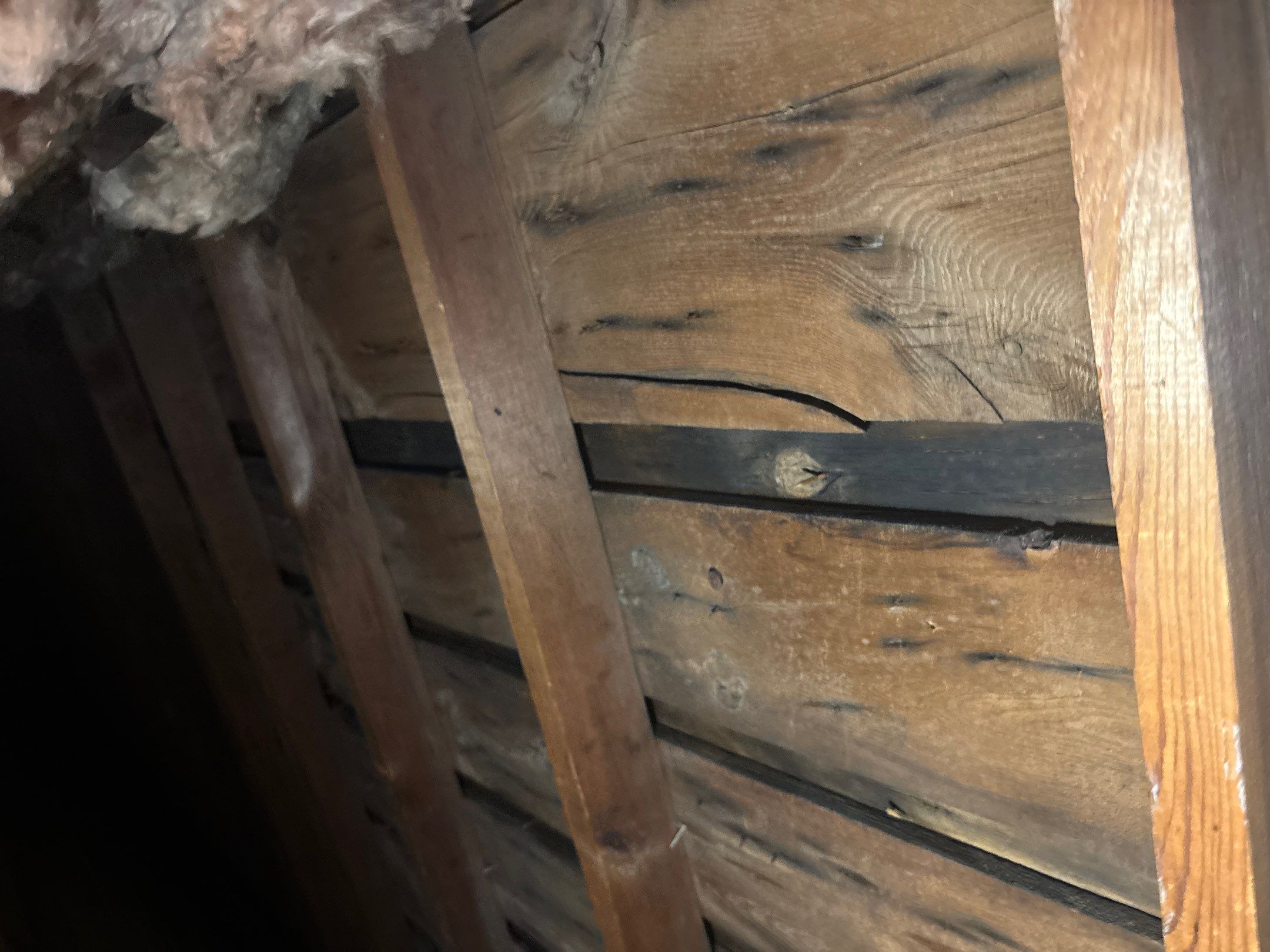 Roof Replacement using Owens Corning Onyx Black by 180 Contractors