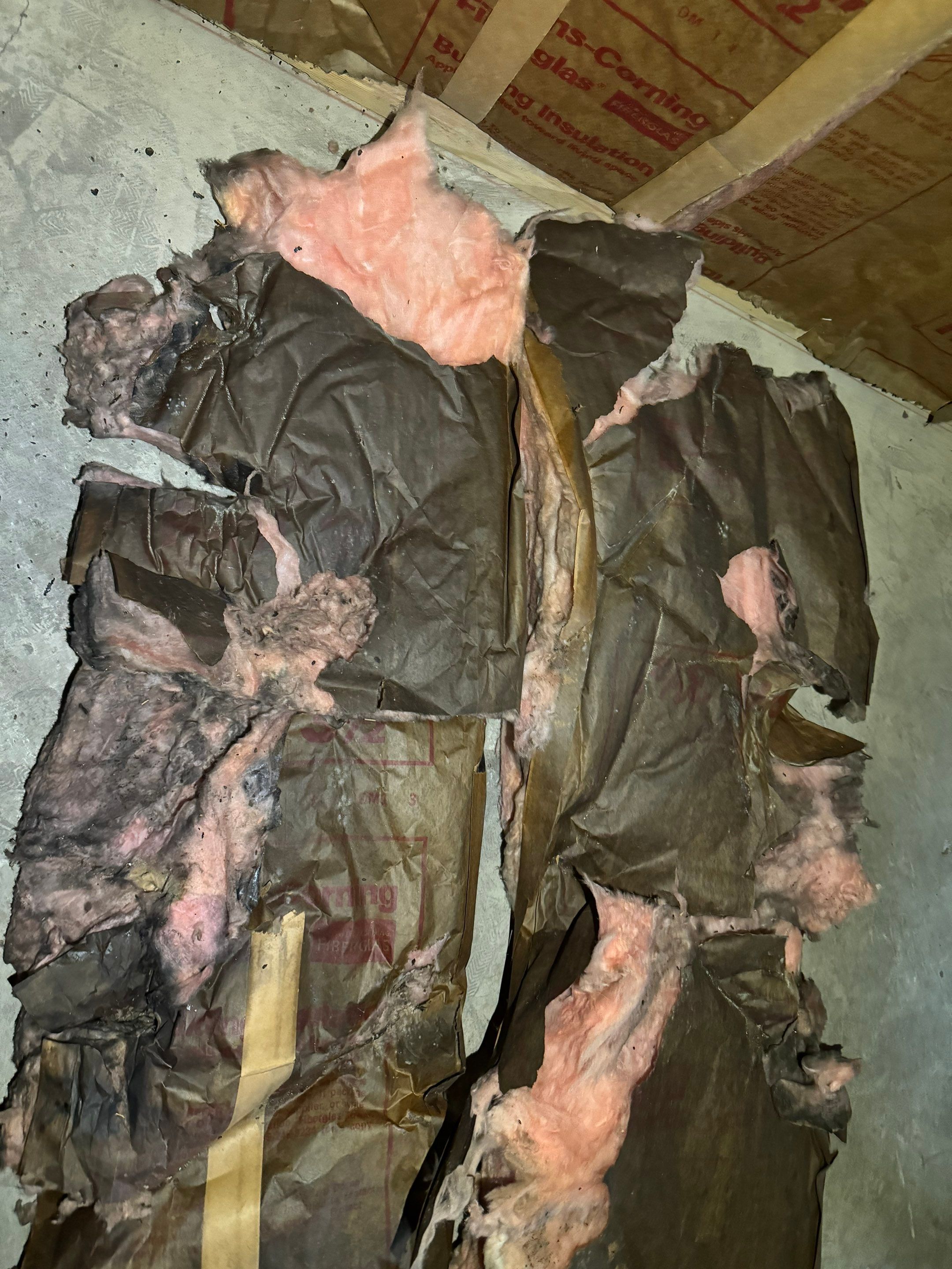 Basement & Livingroom Remediation by Home Guarantee, LLC