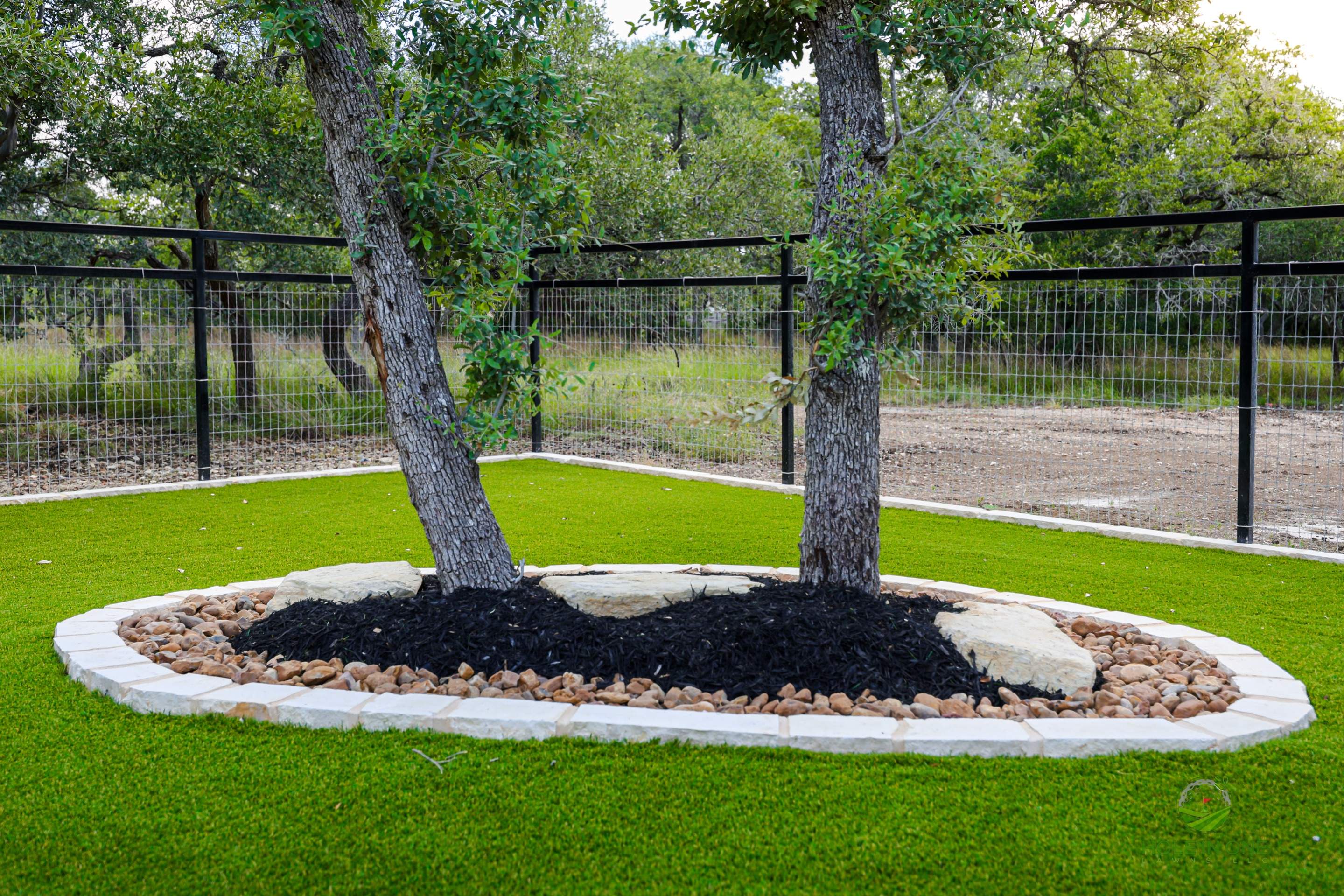 Belle Oak, Bulverde Tx. by Hole In One Lawns, LLC