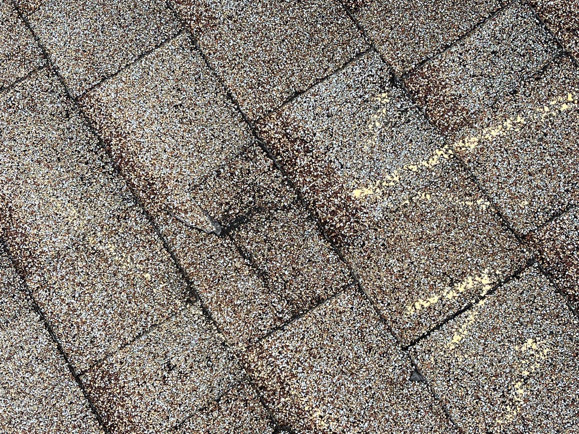 Residential Roofing Installation using Williamsburg Grey Duration Shingles by WIW Enterprises Inc