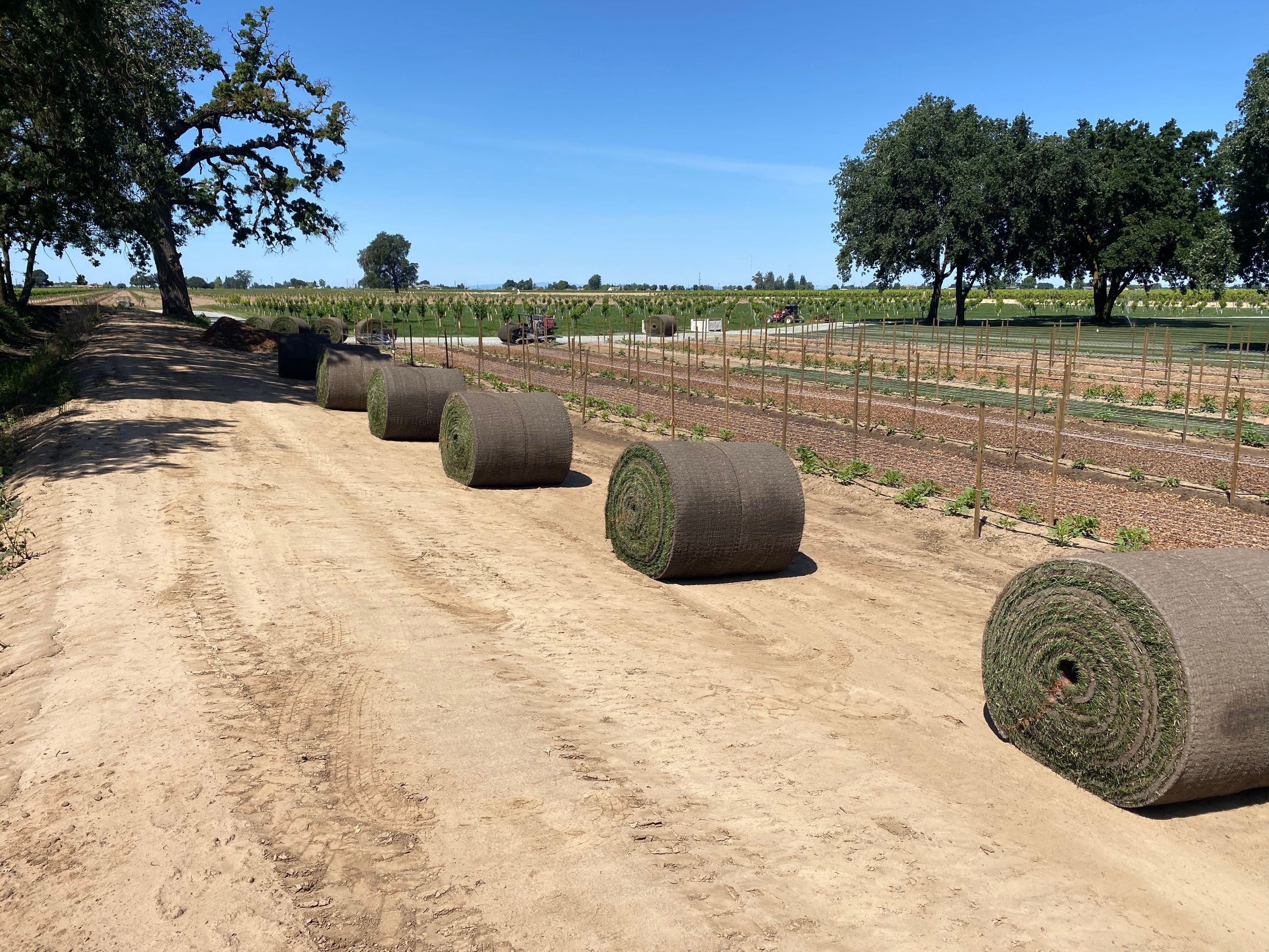 Project in Lodi by A - G Sod Farms