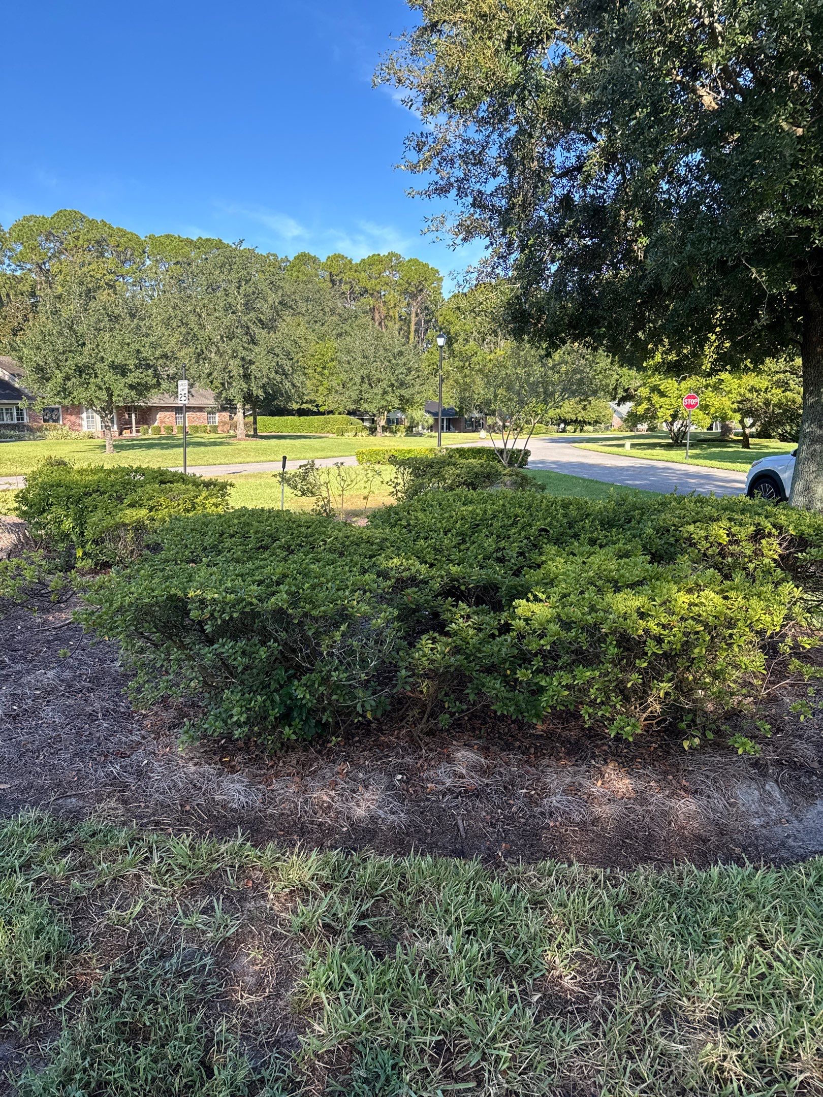 Deerwood Community | Island Landscape Replacement by ProGreen Services