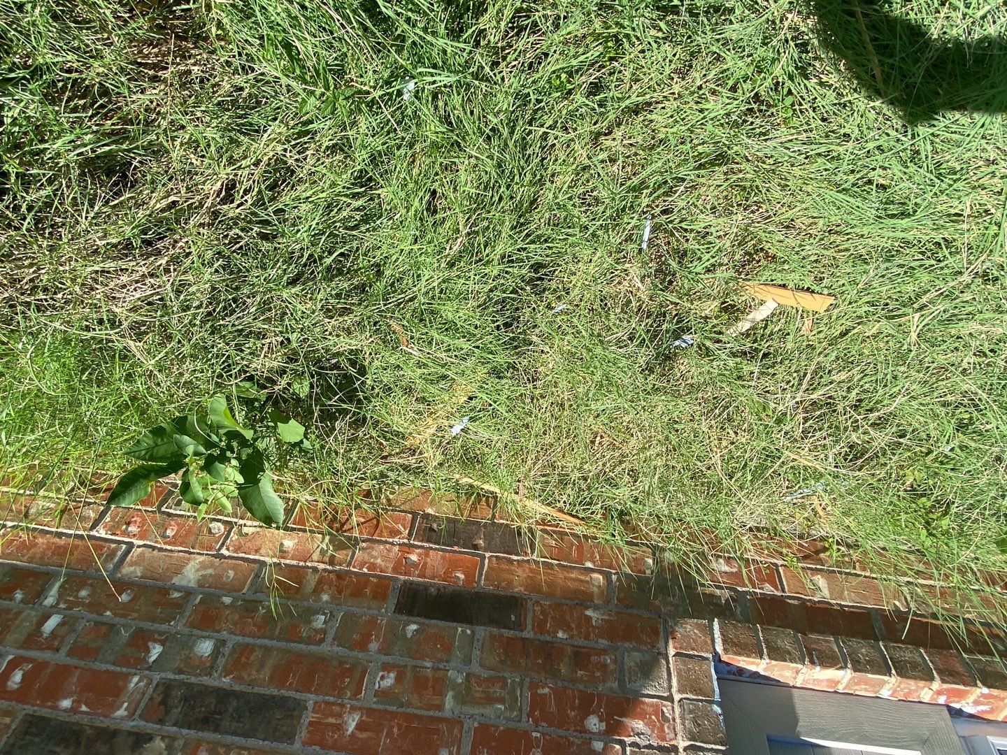 Complete Remodeling To A 40 Year Old House in Burleson, TX photo 283