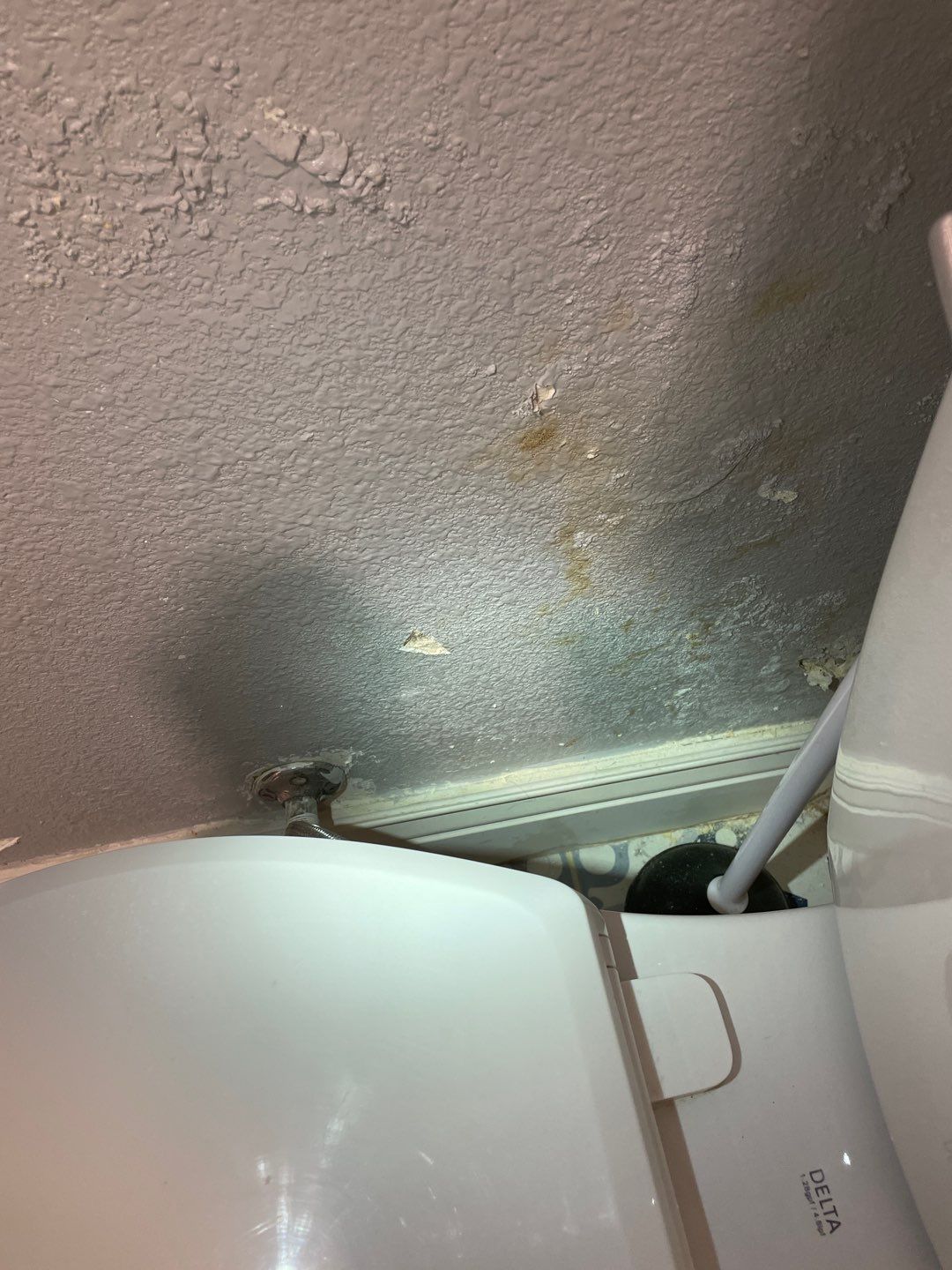 Mold Remediation by Accountable Home Services