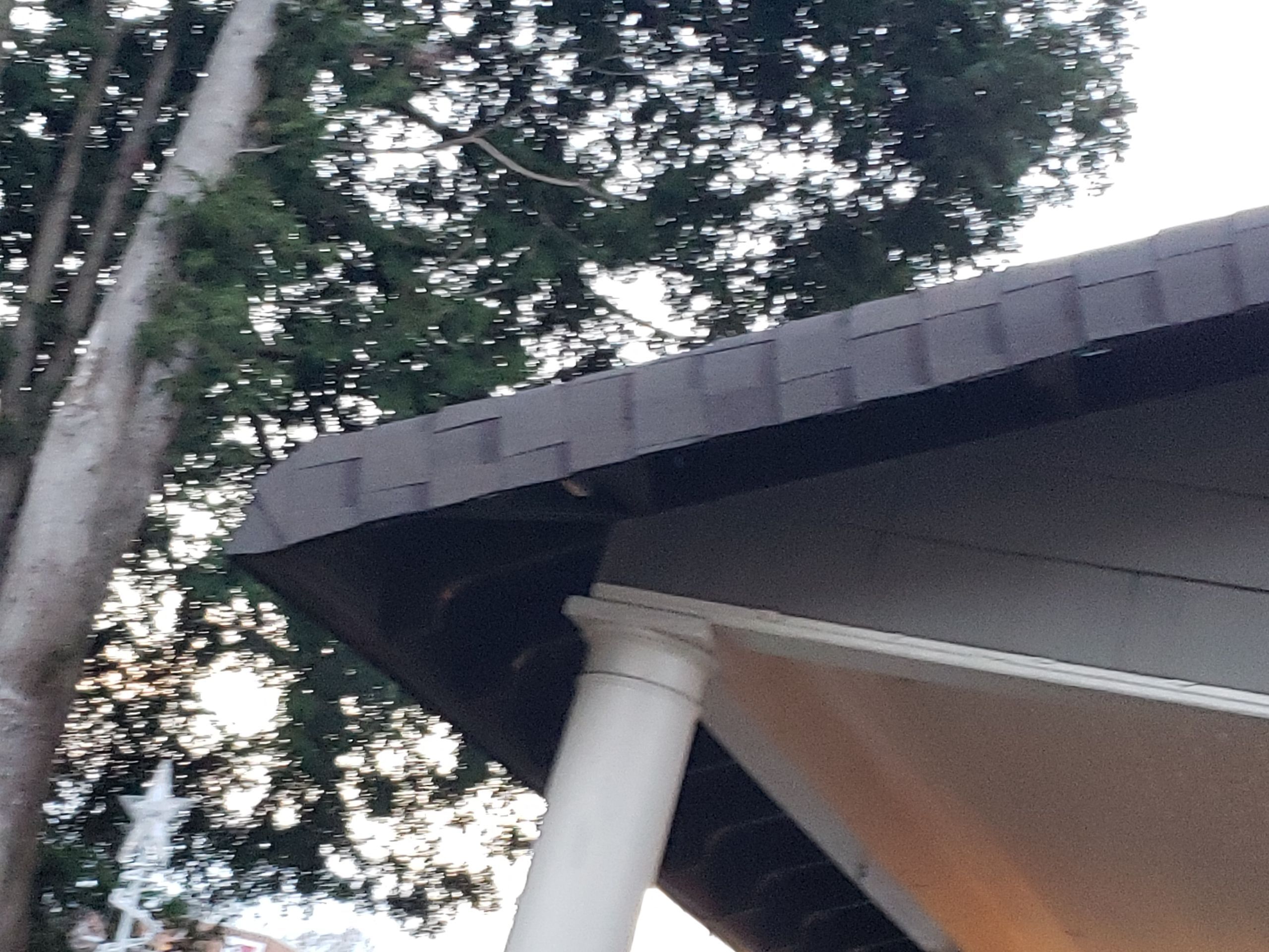 ATLAS PINNACLE COLOR: PRISTINE HEATHER by Eagle Eye Roofing