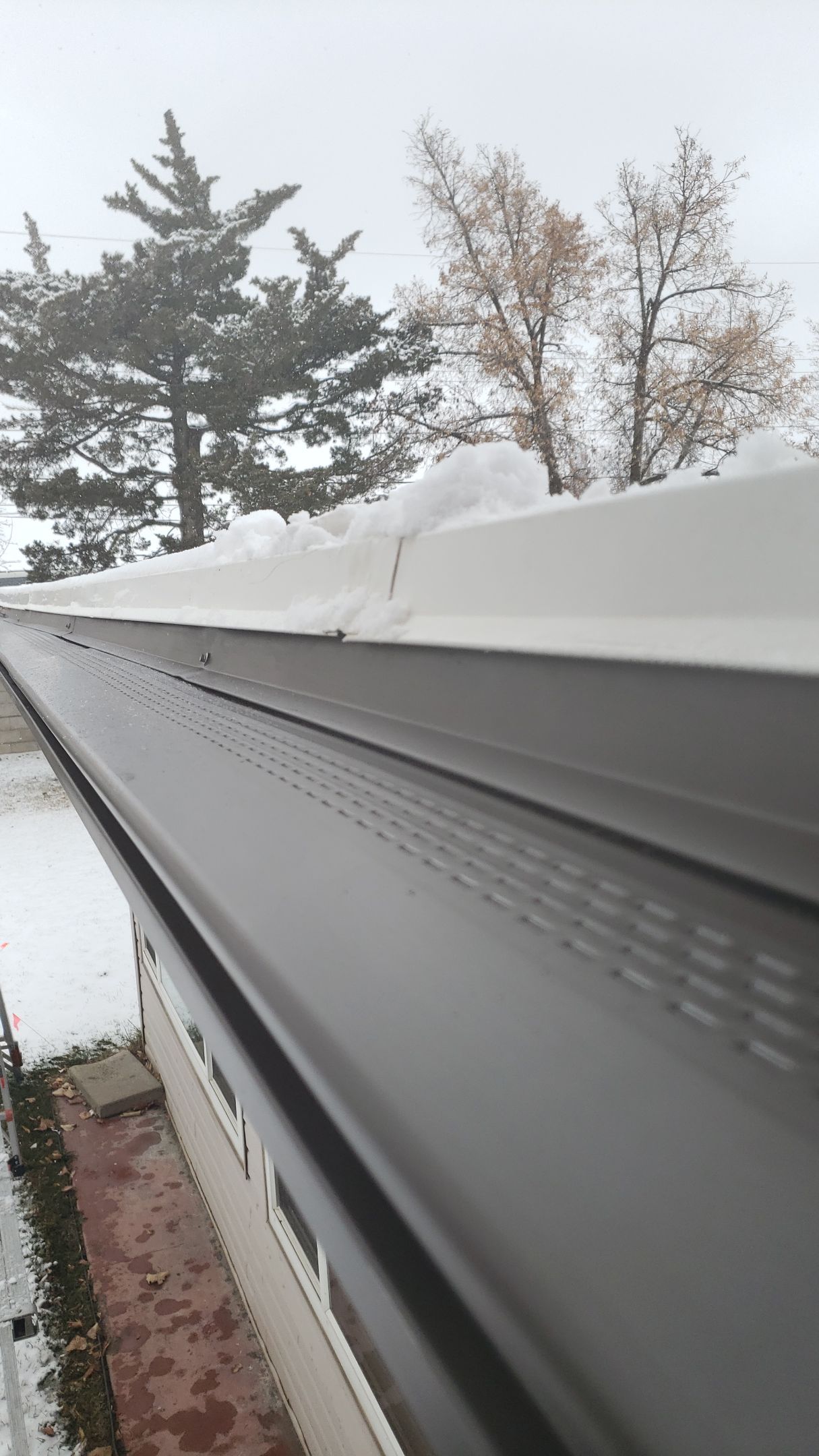 Project in Orem by Emerald Gotcha Gutters 