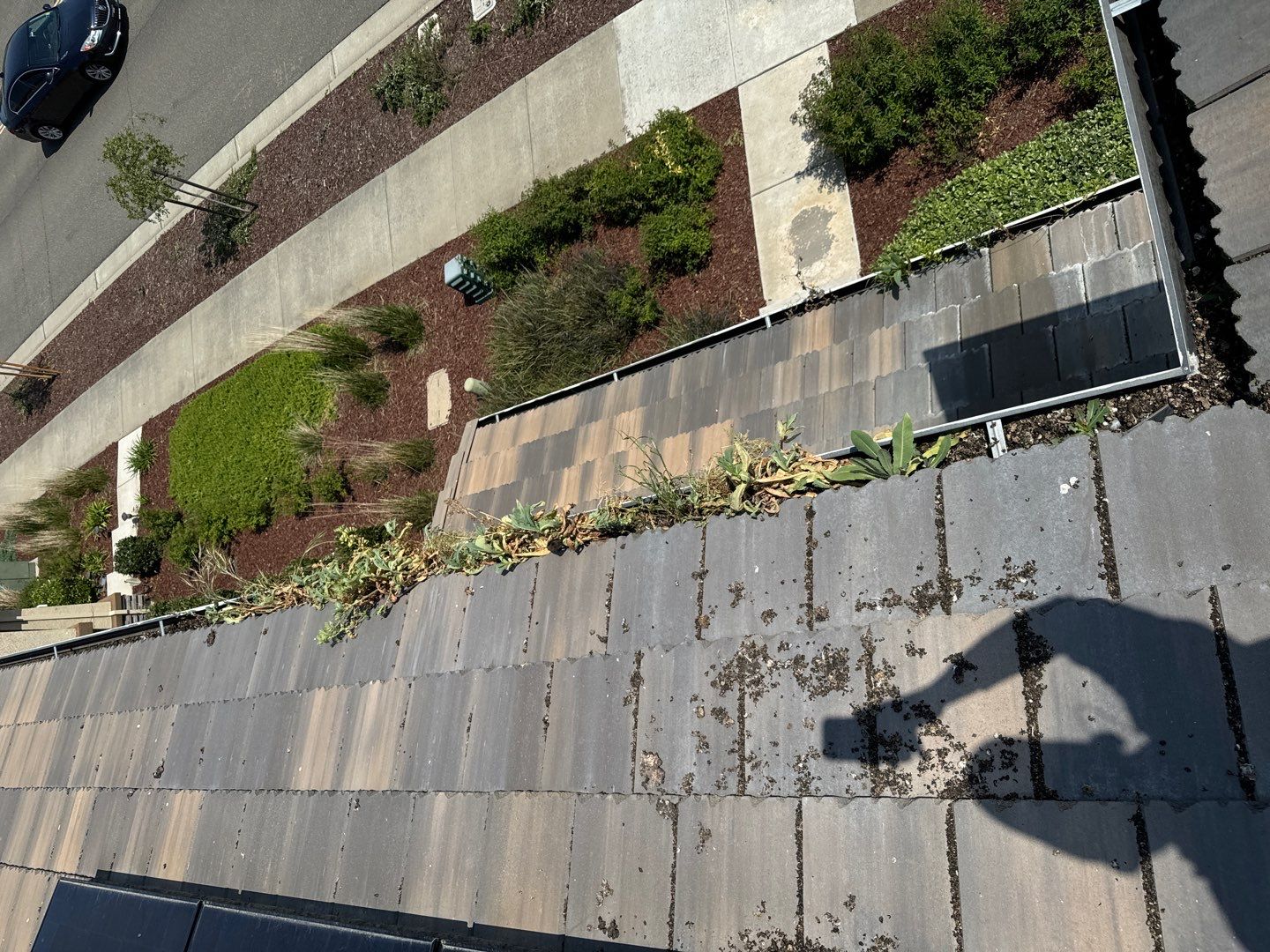 Project in Sacramento, CA by All One Solar Shine