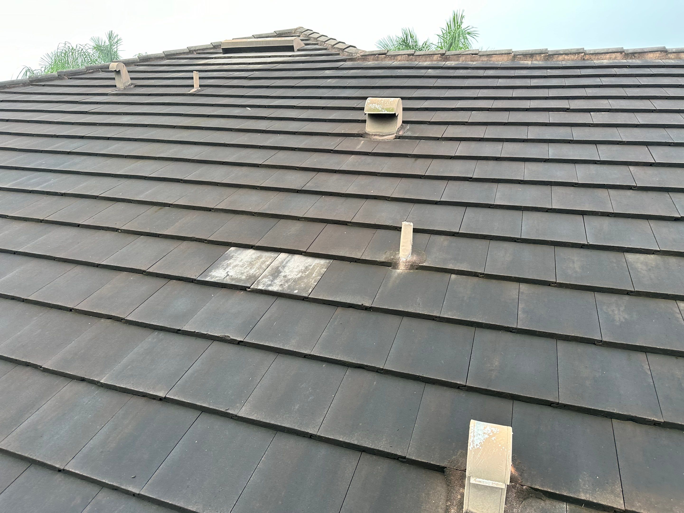 Flat Tile Roof Cleaning, House Wash & Sidewalk Cleaning in Enclave at Country Meadows, Bradenton, FL | Sunshine AquaWash by Sunshine AquaWash
