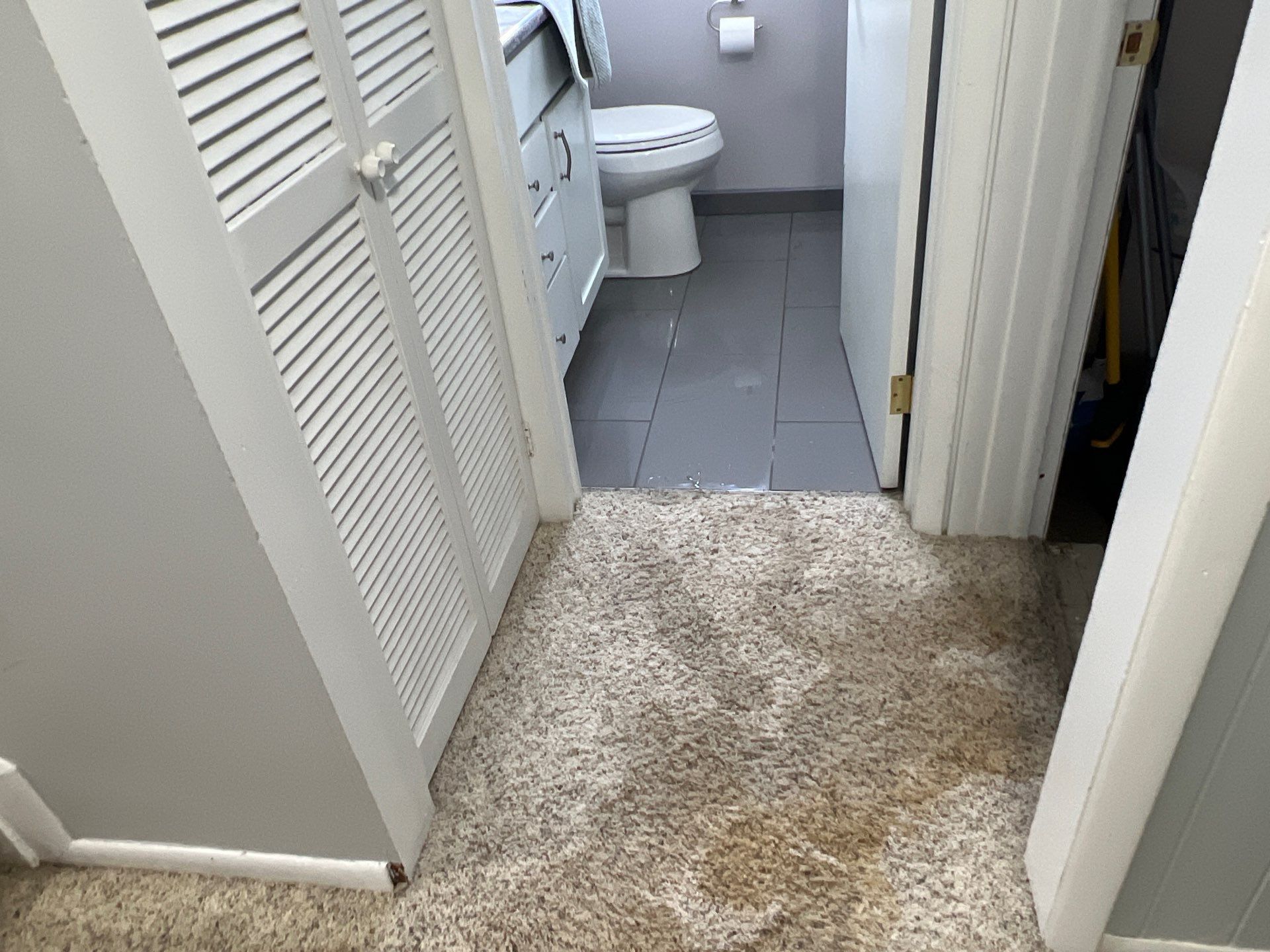 Project in Royal Oak by EzDry Water Mitigation & Property Restoration