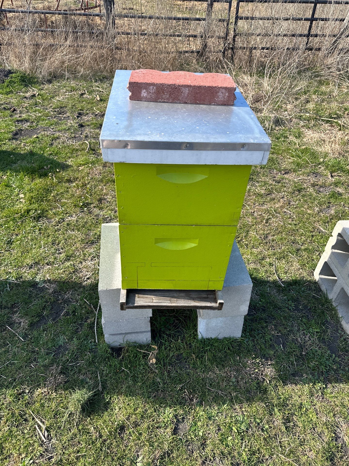 Bees for Ag. Exemption in Rockwall by Rockwall Honey Bee Company