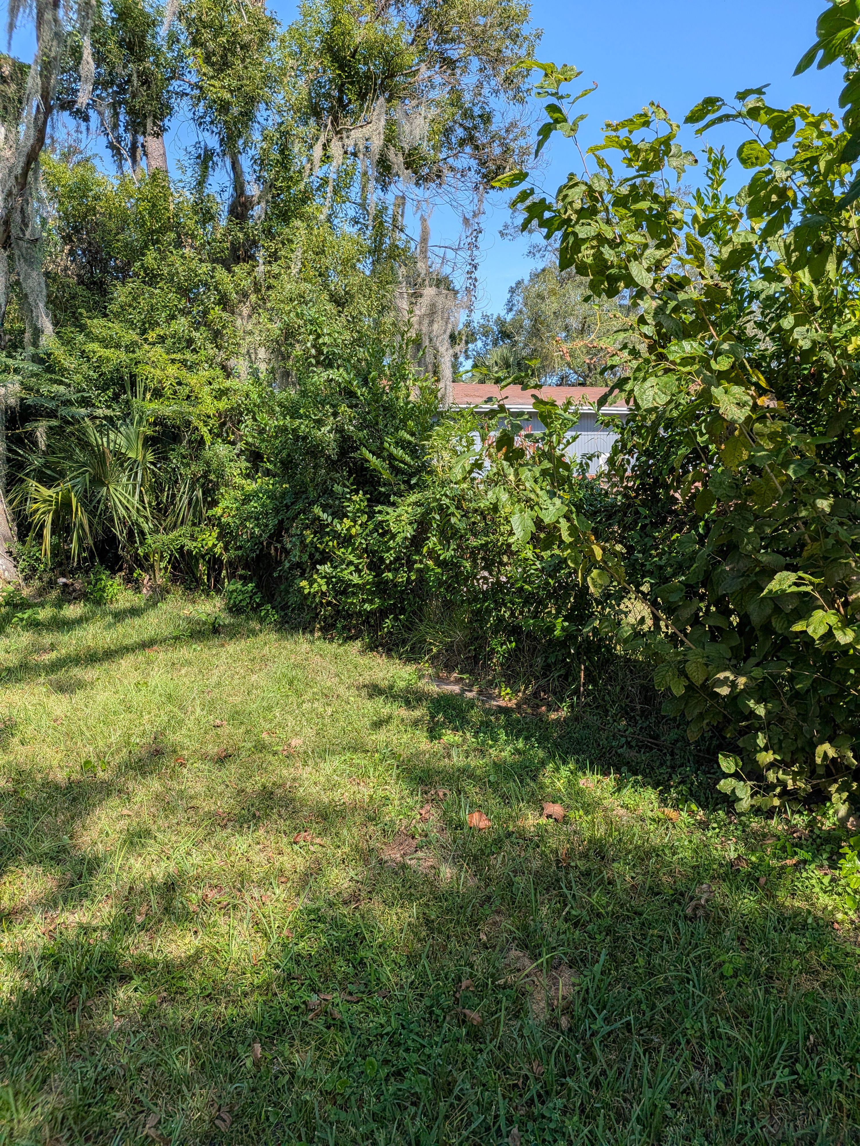 Vacant Lot Cleanup & Ongoing Maintenance — Northside Jacksonville (32219) by Harmoni Home Services