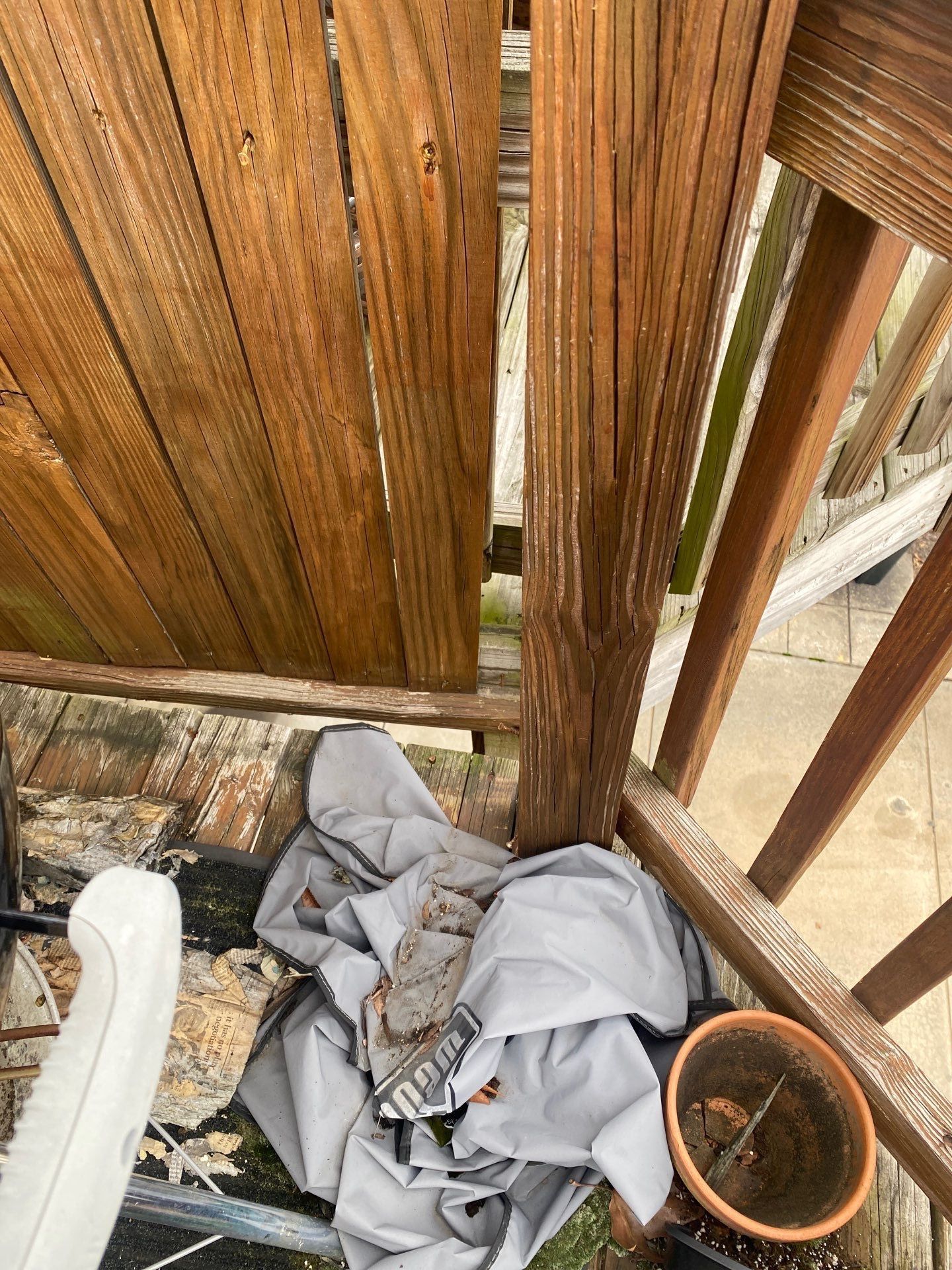Deck repair  by Alpha Design Services