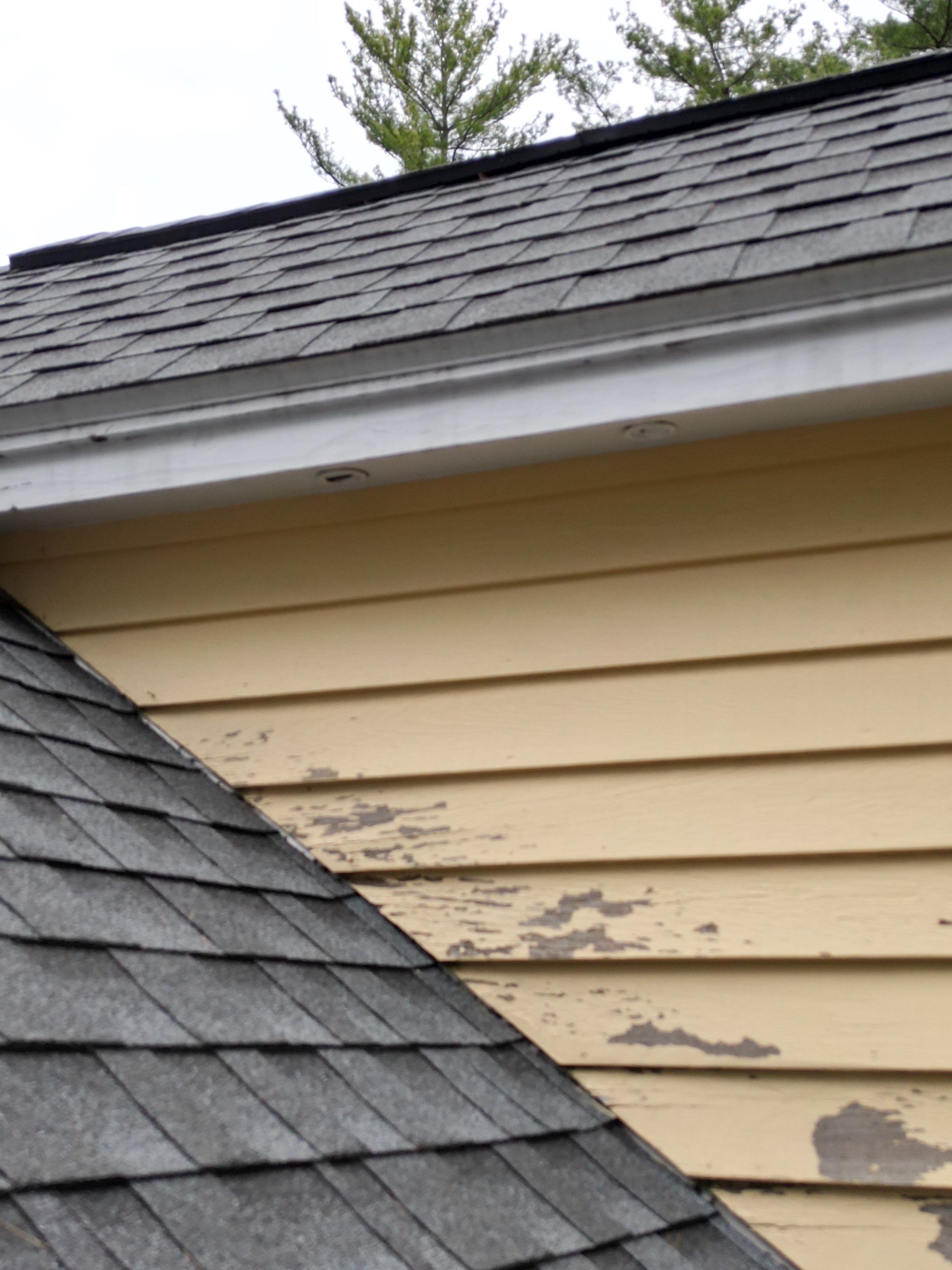 Siding | Dunstable by Mighty Dog Roofing of Greater Middlesex County
