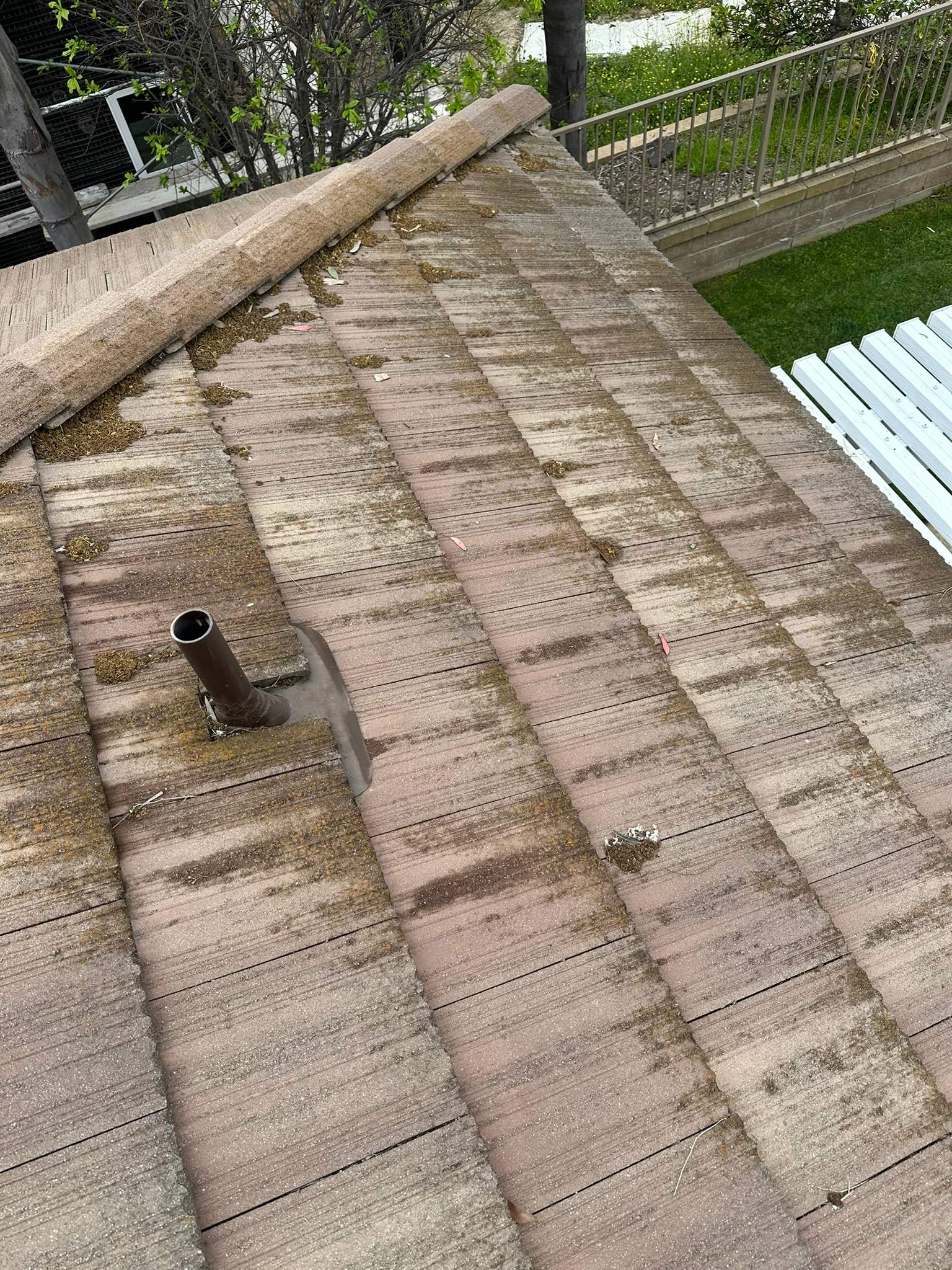 Home insurance wouldn't renew without a wash! by Property Cleaning Experts