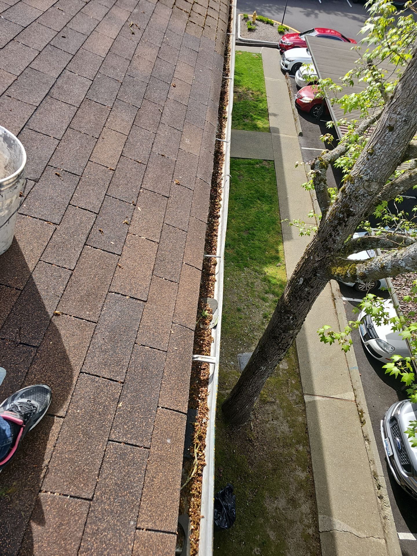 Commercial gutter cleaning Edgewood, WA before photo with filled gutters