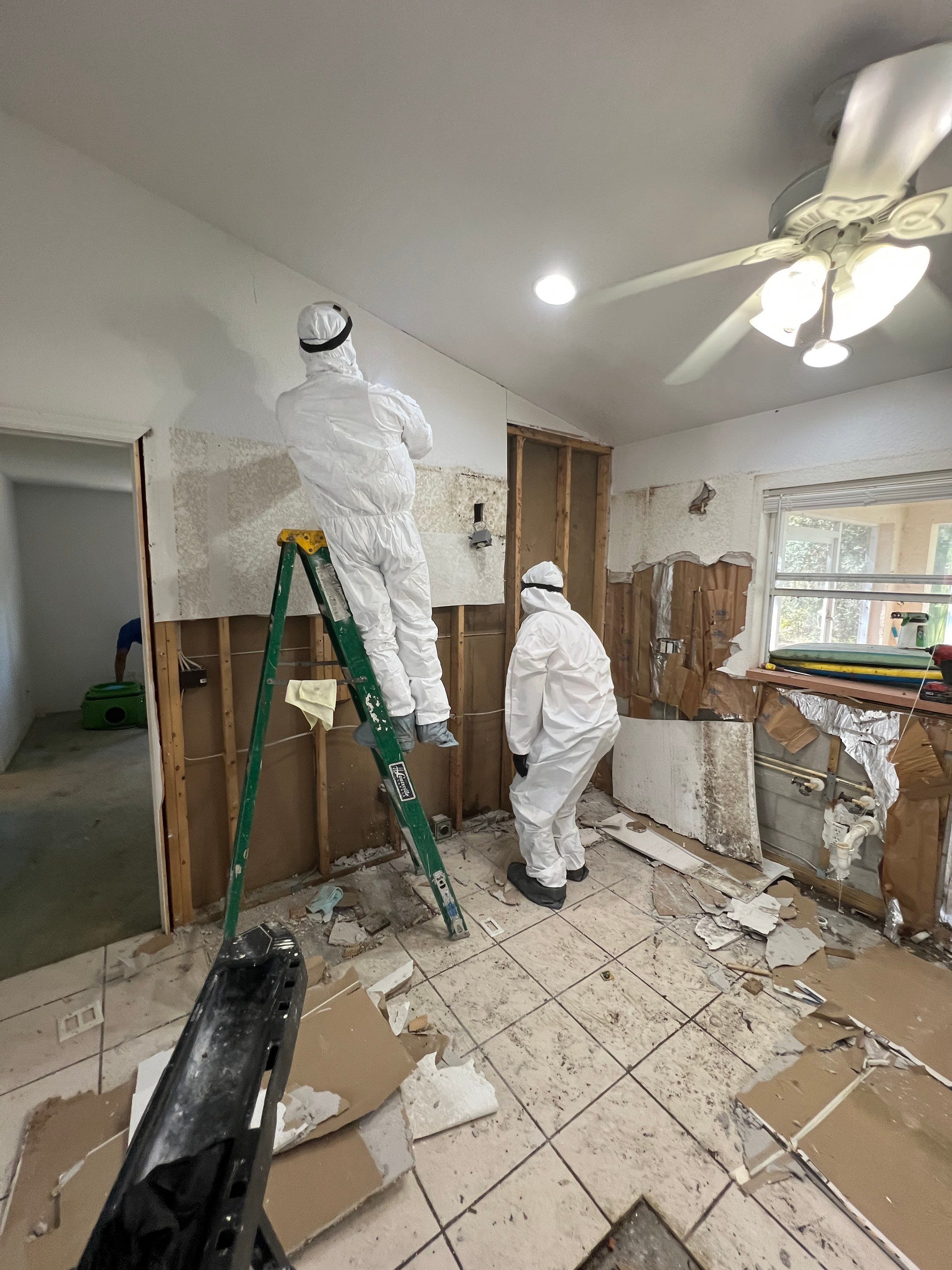 Mold Removal In North Port  by Ampm Restoration Services 