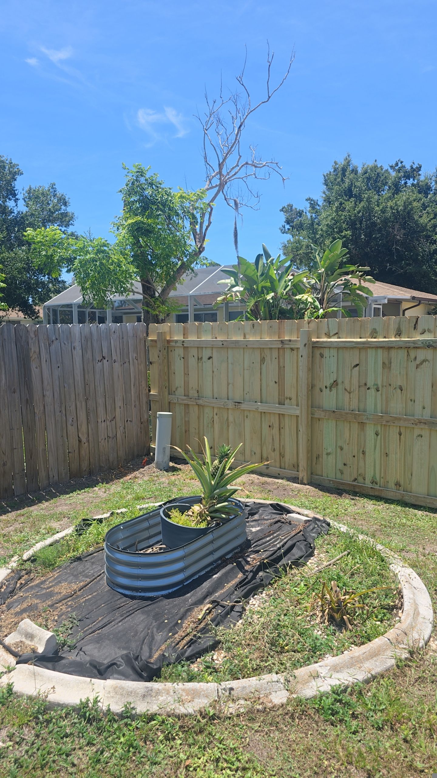 Pressure-Treated Wood Privacy Fence Installation in Port Charlotte by True Fence LLC