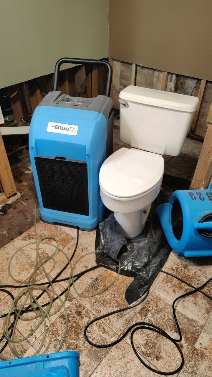 Water Damage and Mold Remediation by Accountable Home Services