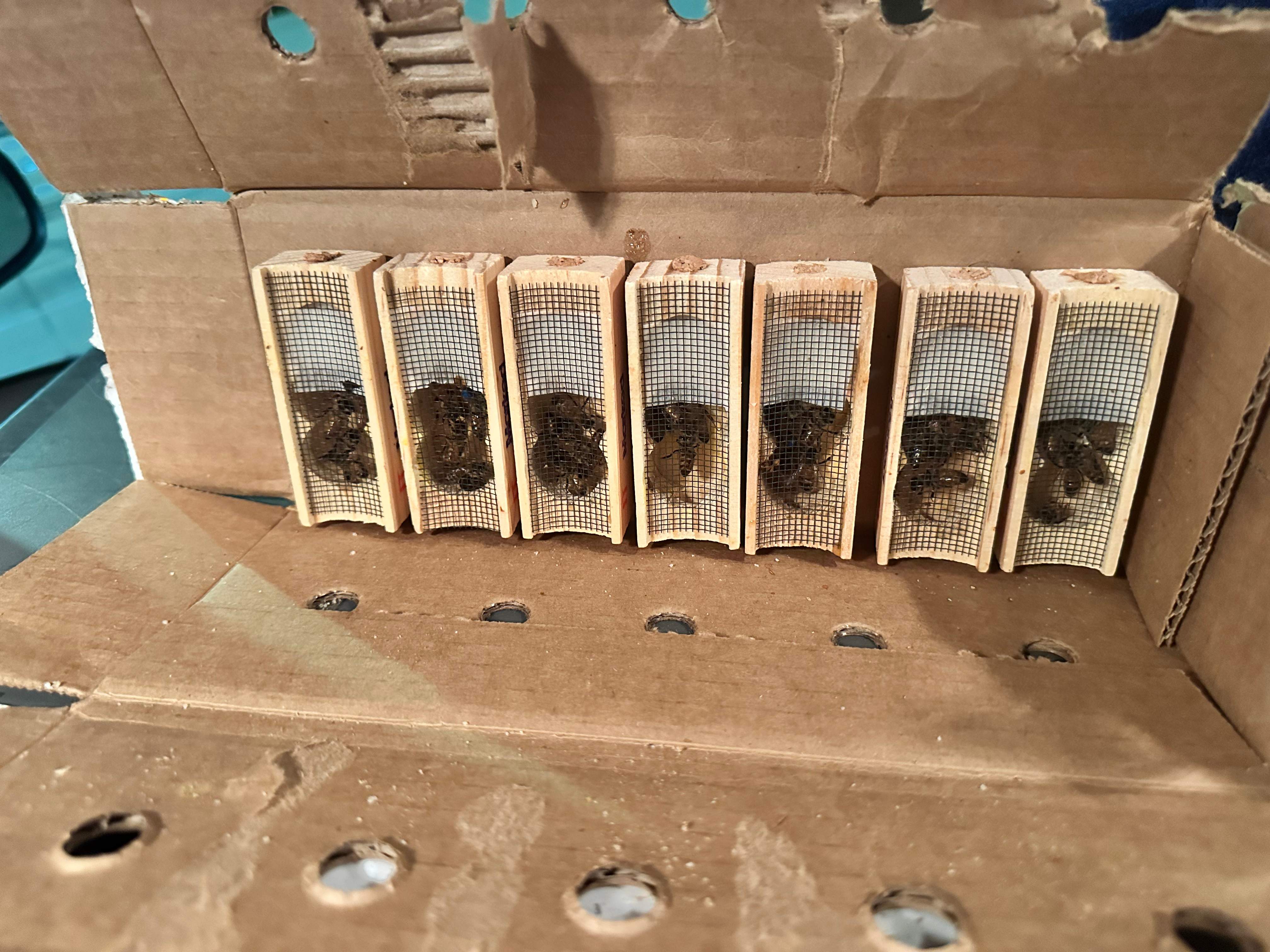 Rockwall Honey Bee Company HQ by Rockwall Honey Bee Company