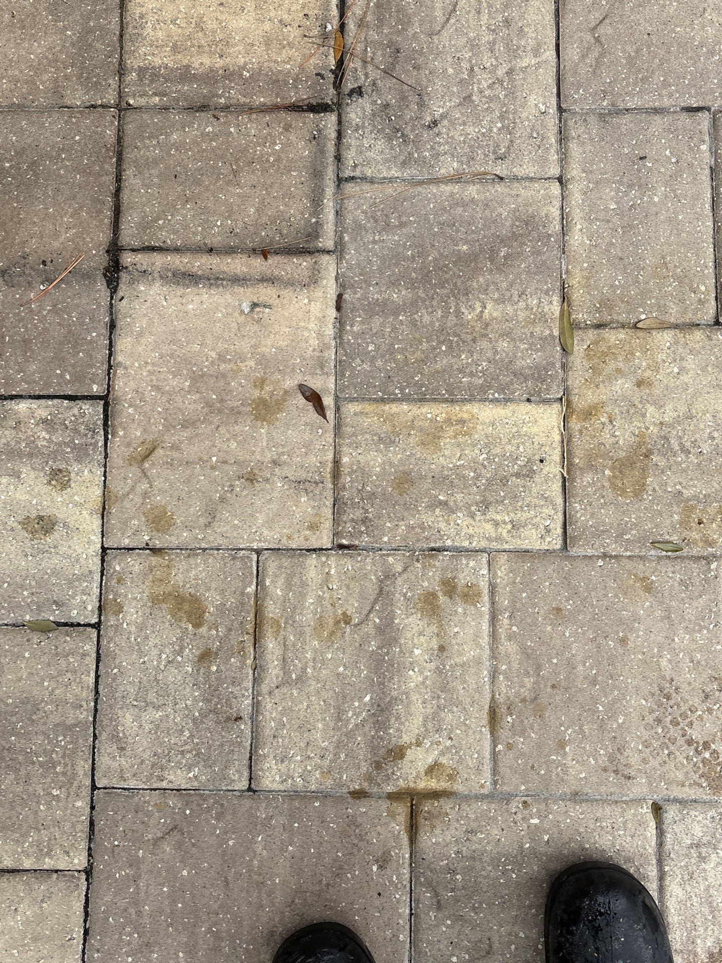 Stone using TopSeal and PolySand by DuraSeal