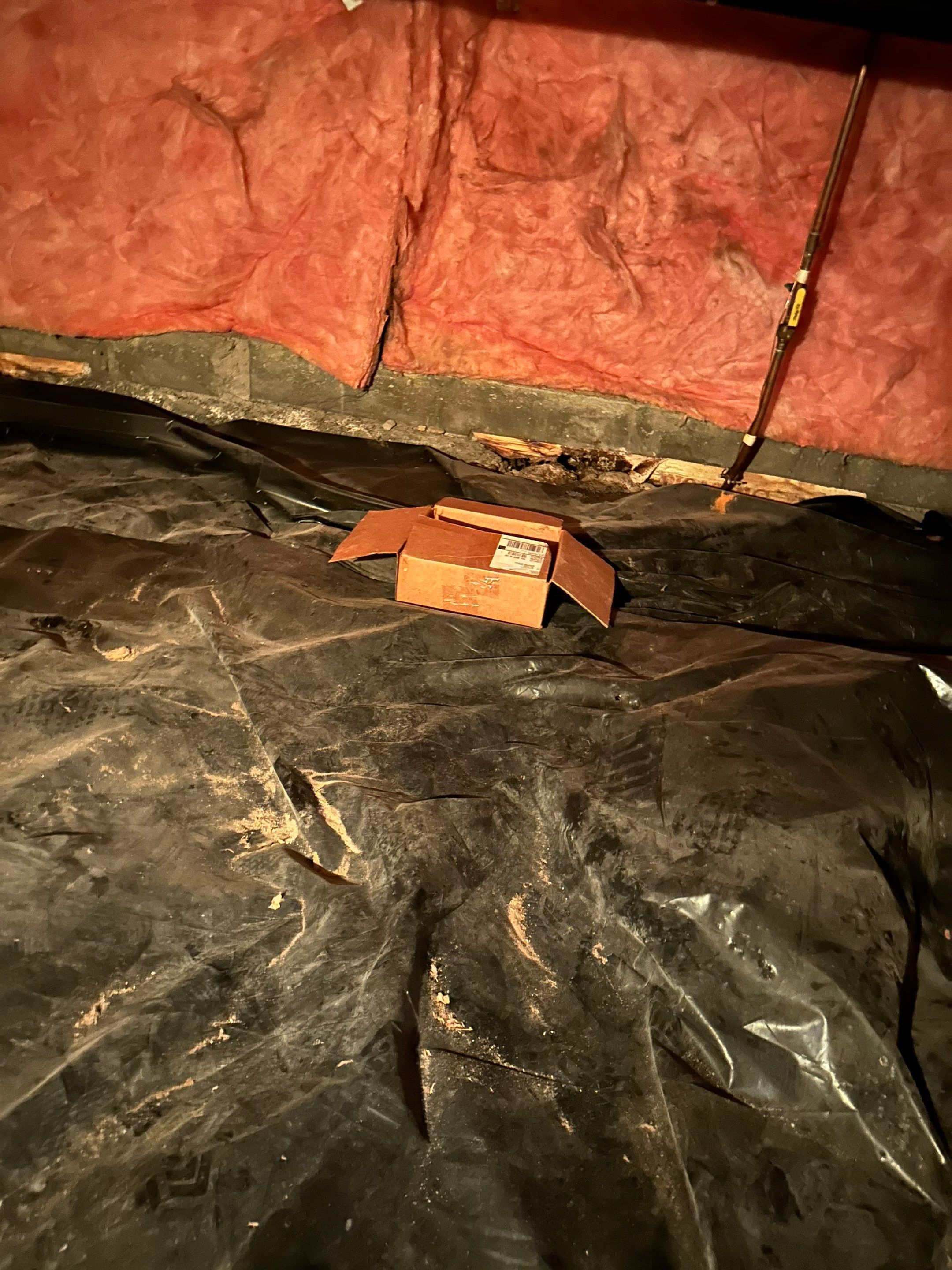 Mold Removal in Brighton, CO by Alpha Restoration 
