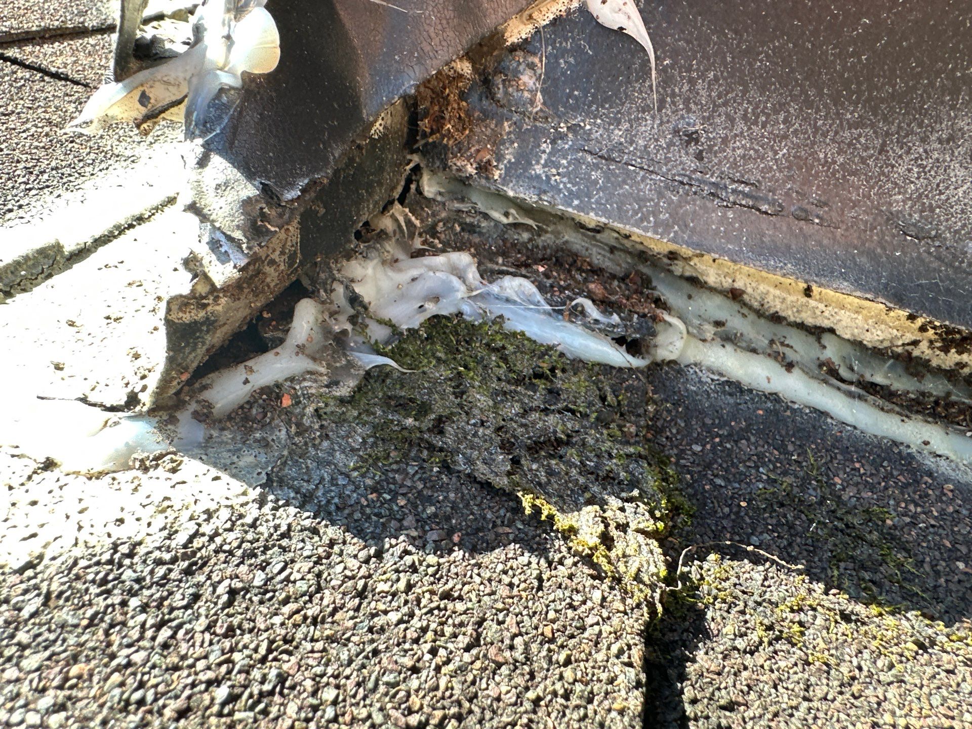 Chimney Flashing & New Gutter Guards by Peak 2 Peak Services LLC