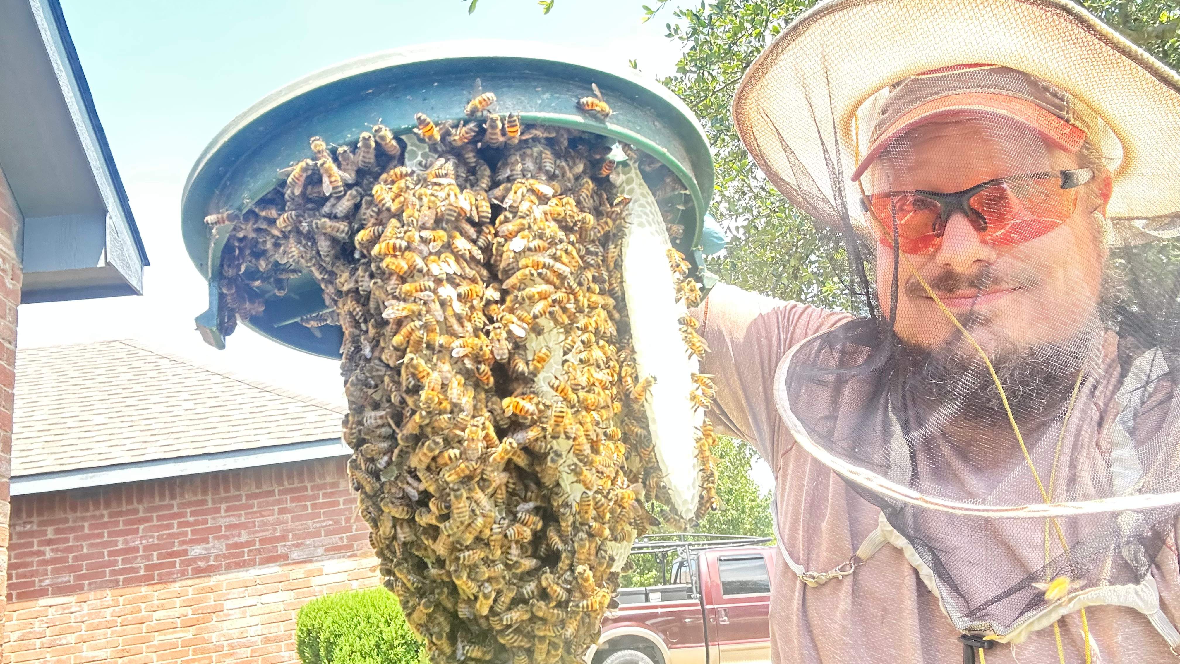 Irrigation Box by Rockwall Honey Bee Company