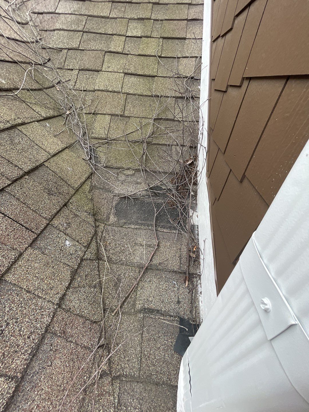 Roof Damage using Owens Corning Duration Storm by 317 Roofing & Restorations