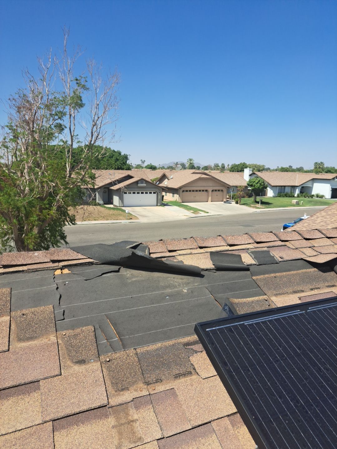 Desert Tan Shingles by Reimagine Roofing
