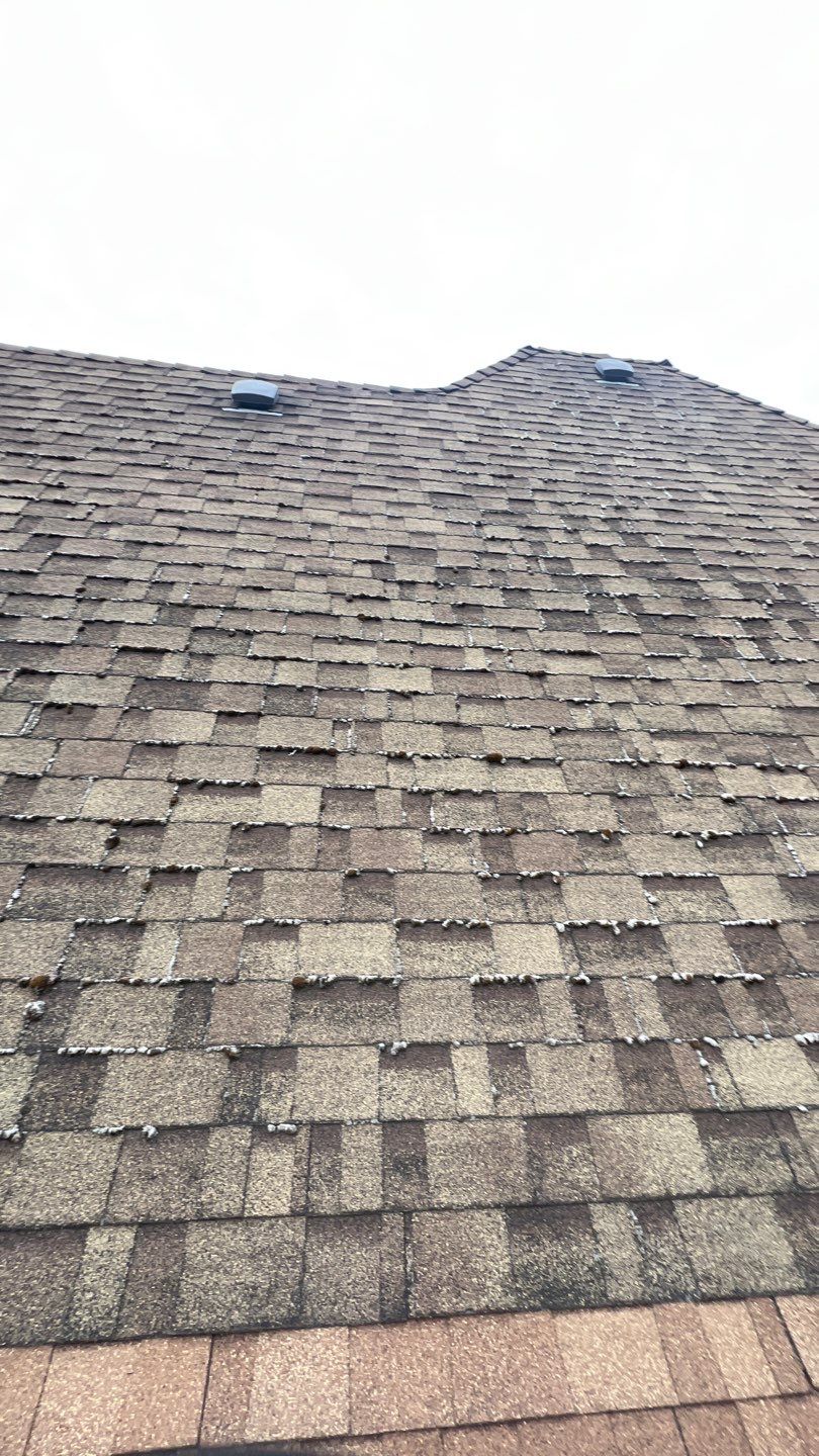 Residential Roofing Installation using Malarkey Vista AR Shingles by Orezona Building & Roofing Company, Inc.