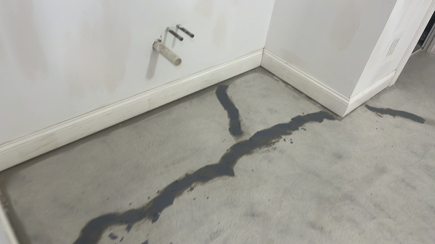 Rommel family Basement TransFLOORmation by Symphony Concrete Coatings