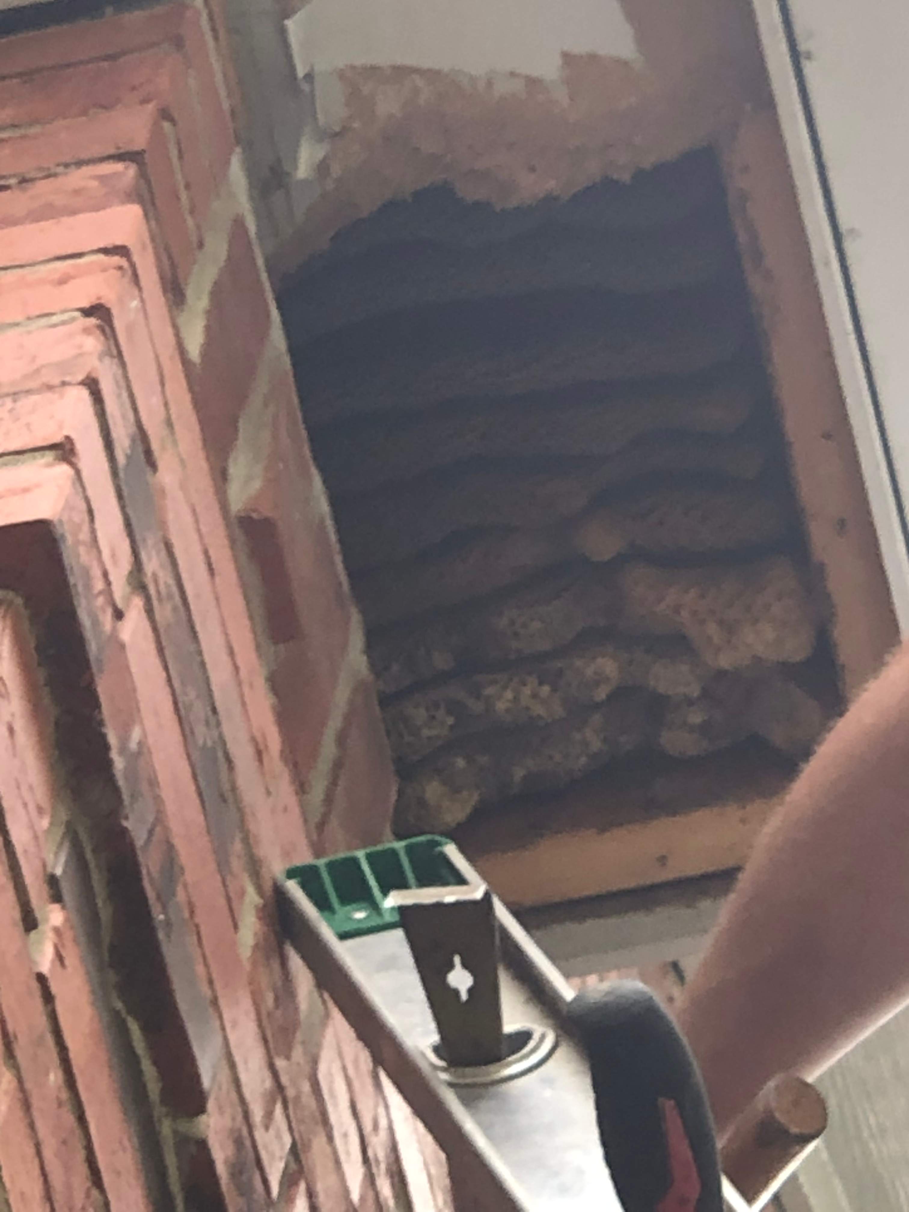 Caution! by Rockwall Honey Bee Company