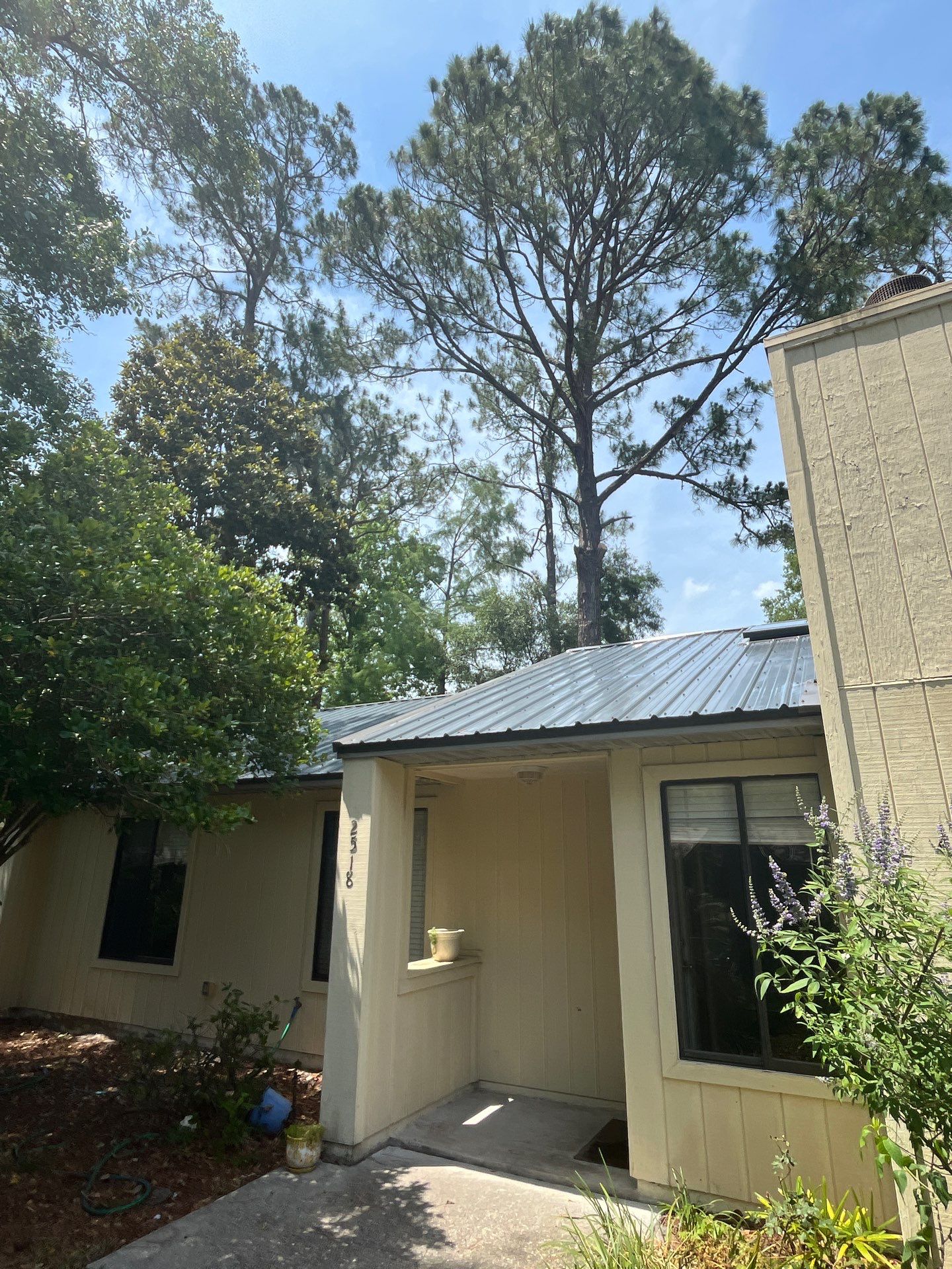 Metal Roofing in Gainesville, FL  by Brehm Roofing