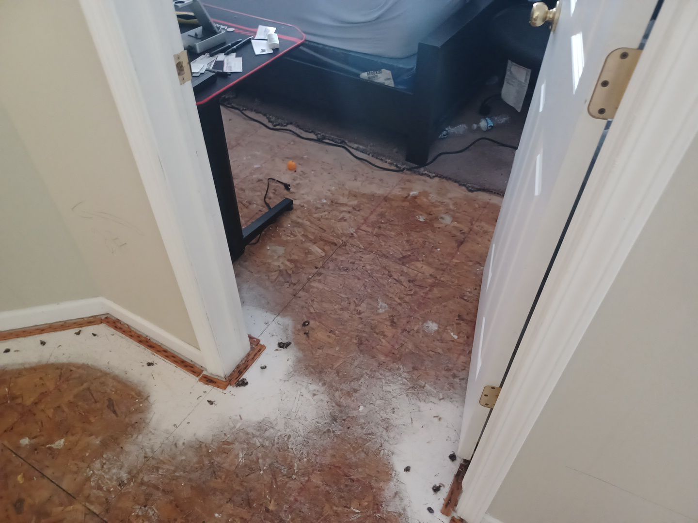 Project in Grand Blanc by EzDry Water Mitigation & Property Restoration