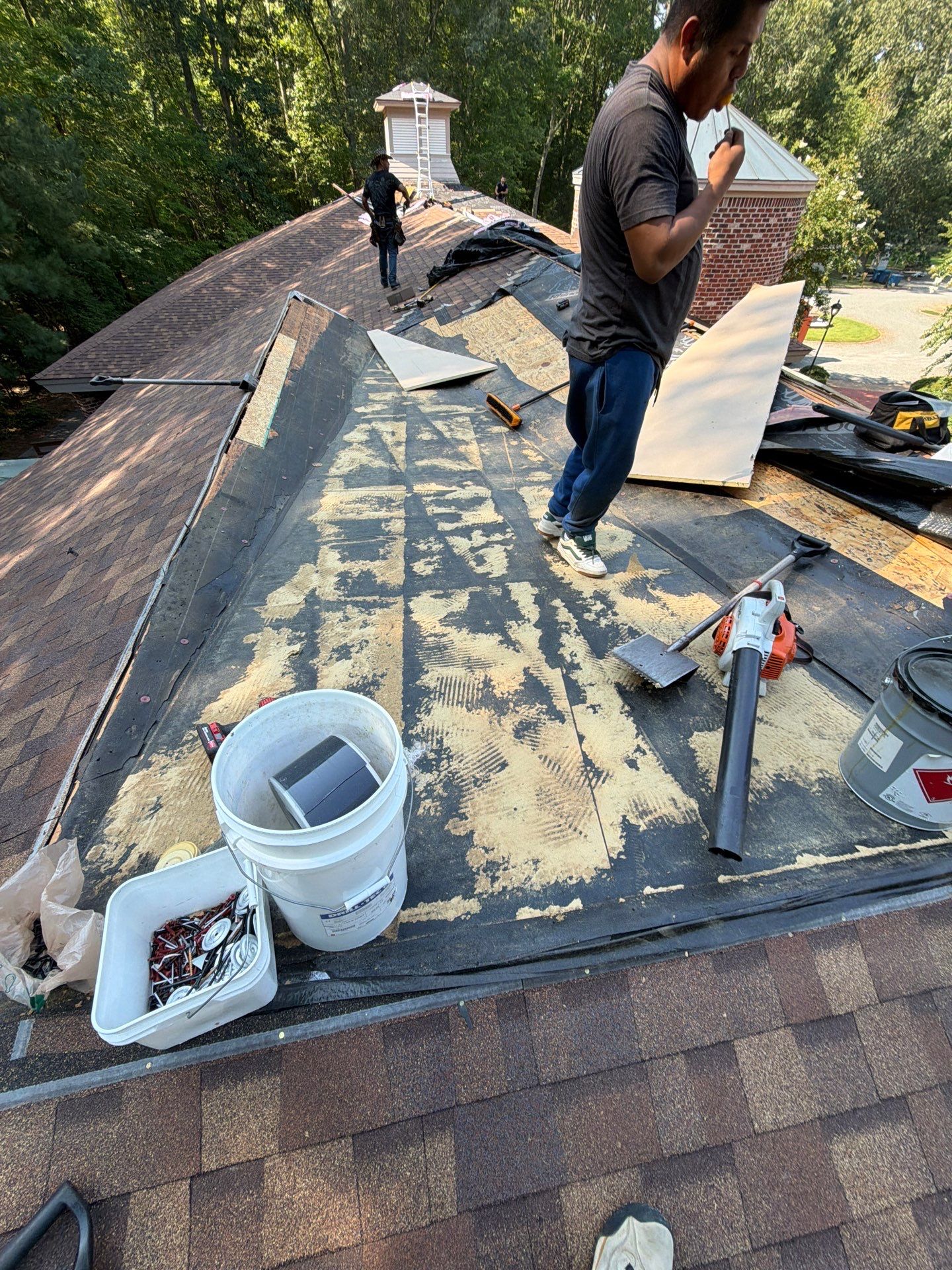 Comprehensive Asphalt Shingle Roof Replacement in Mathews, Virginia by Cade Construction