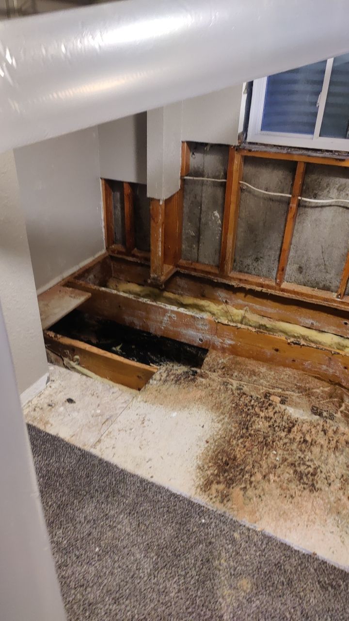 Water Damage Restoration by Accountable Home Services