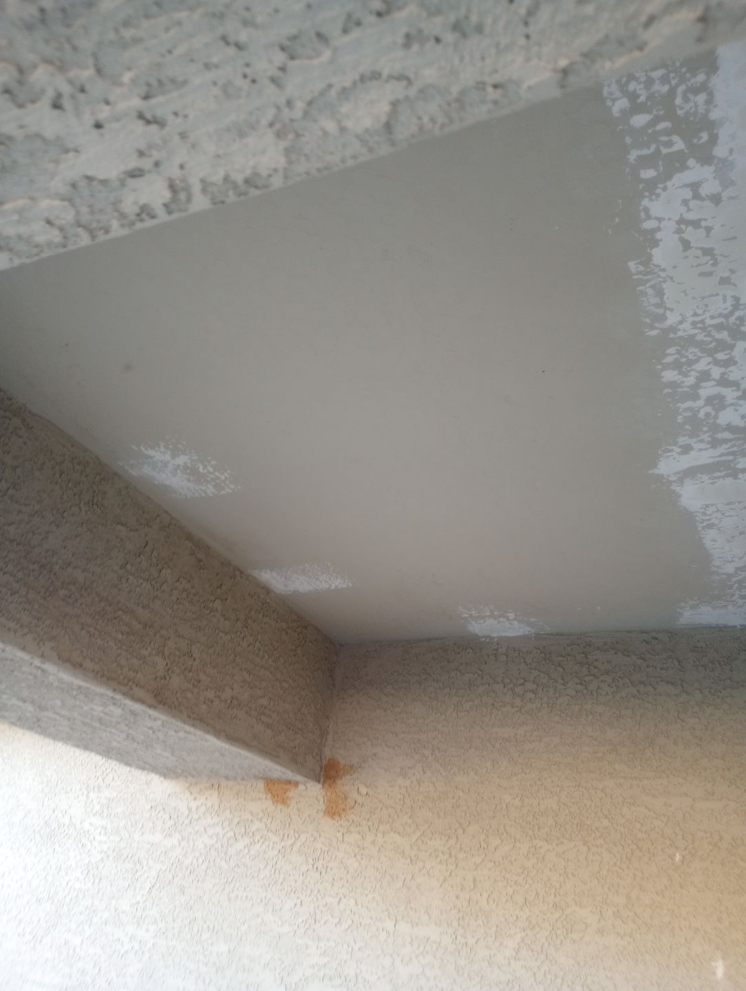 Exterior Painting - Phoenix by Crash of Rhinos Painting & Garage Floors