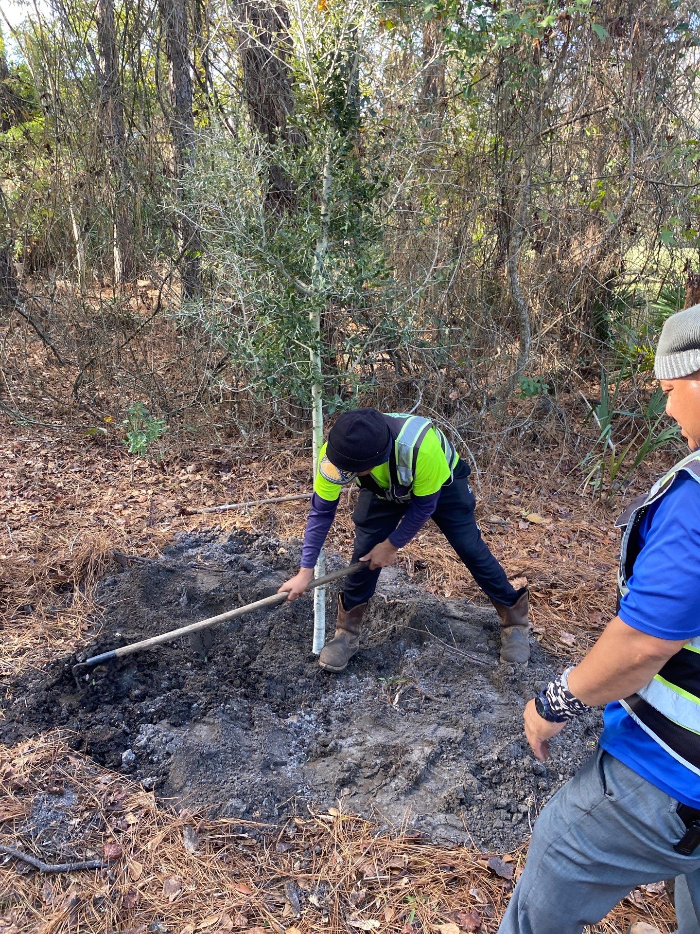 Deerwood Resident | Tree Installation by ProGreen Services
